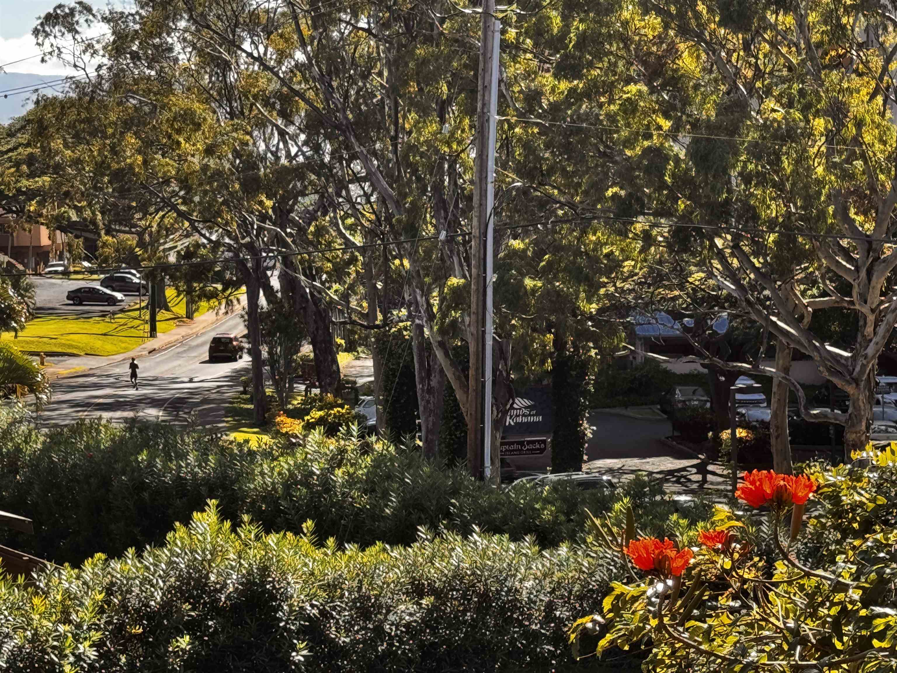 Kahana Manor condo # 315, Lahaina, Hawaii - photo 14 of 20