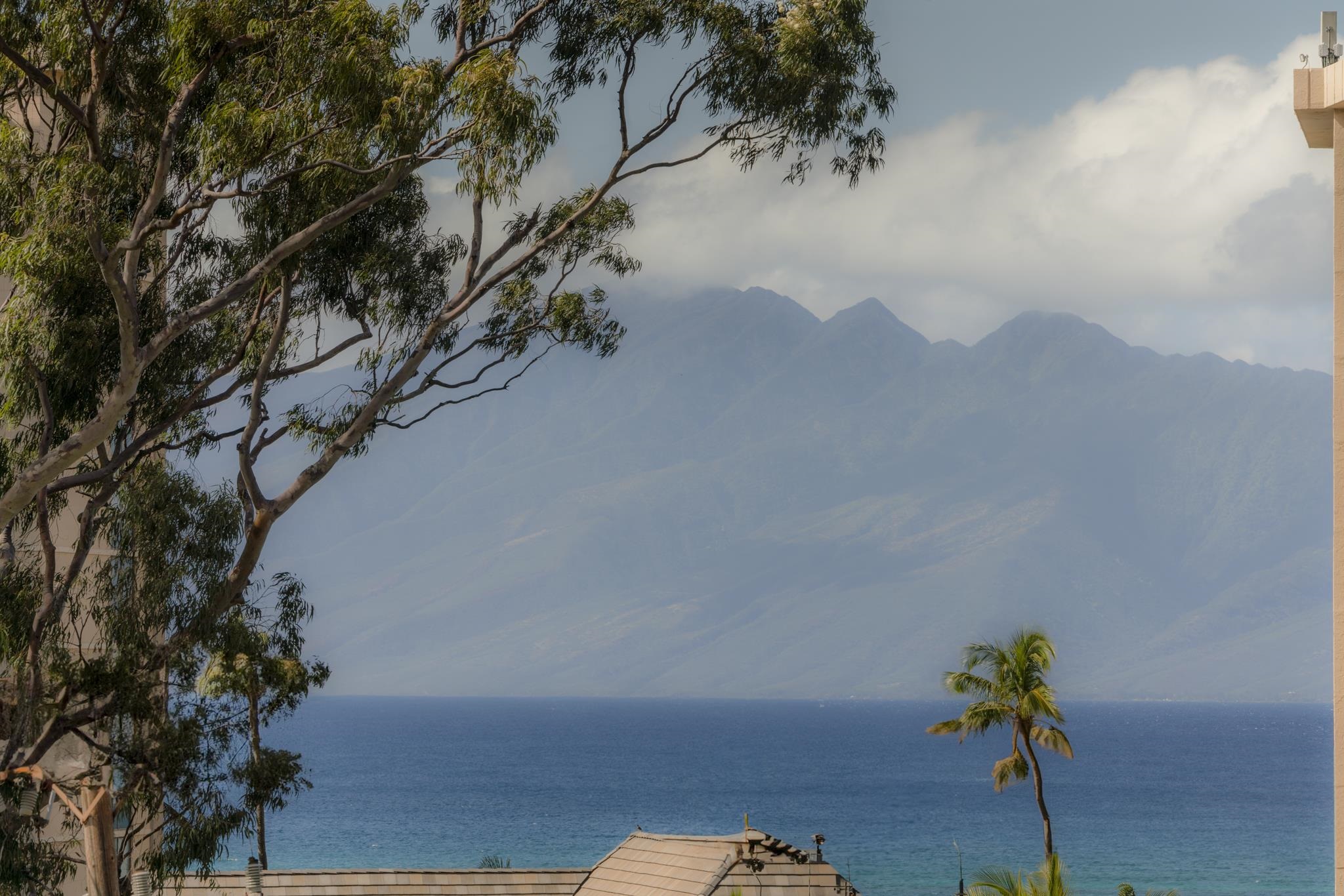 Kahana Manor condo # 411, Lahaina, Hawaii - photo 23 of 38