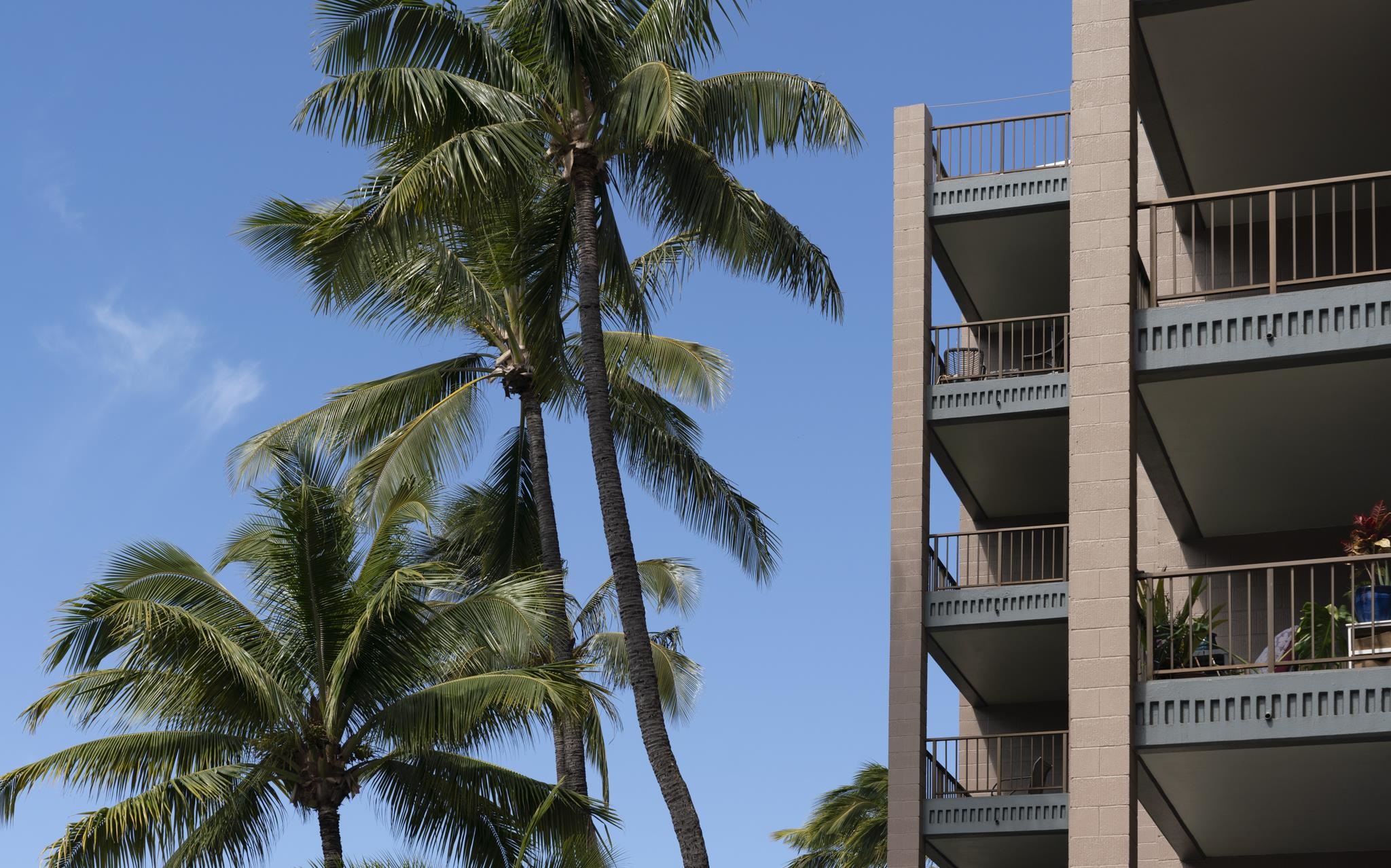 Kahana Manor condo # 411, Lahaina, Hawaii - photo 30 of 38