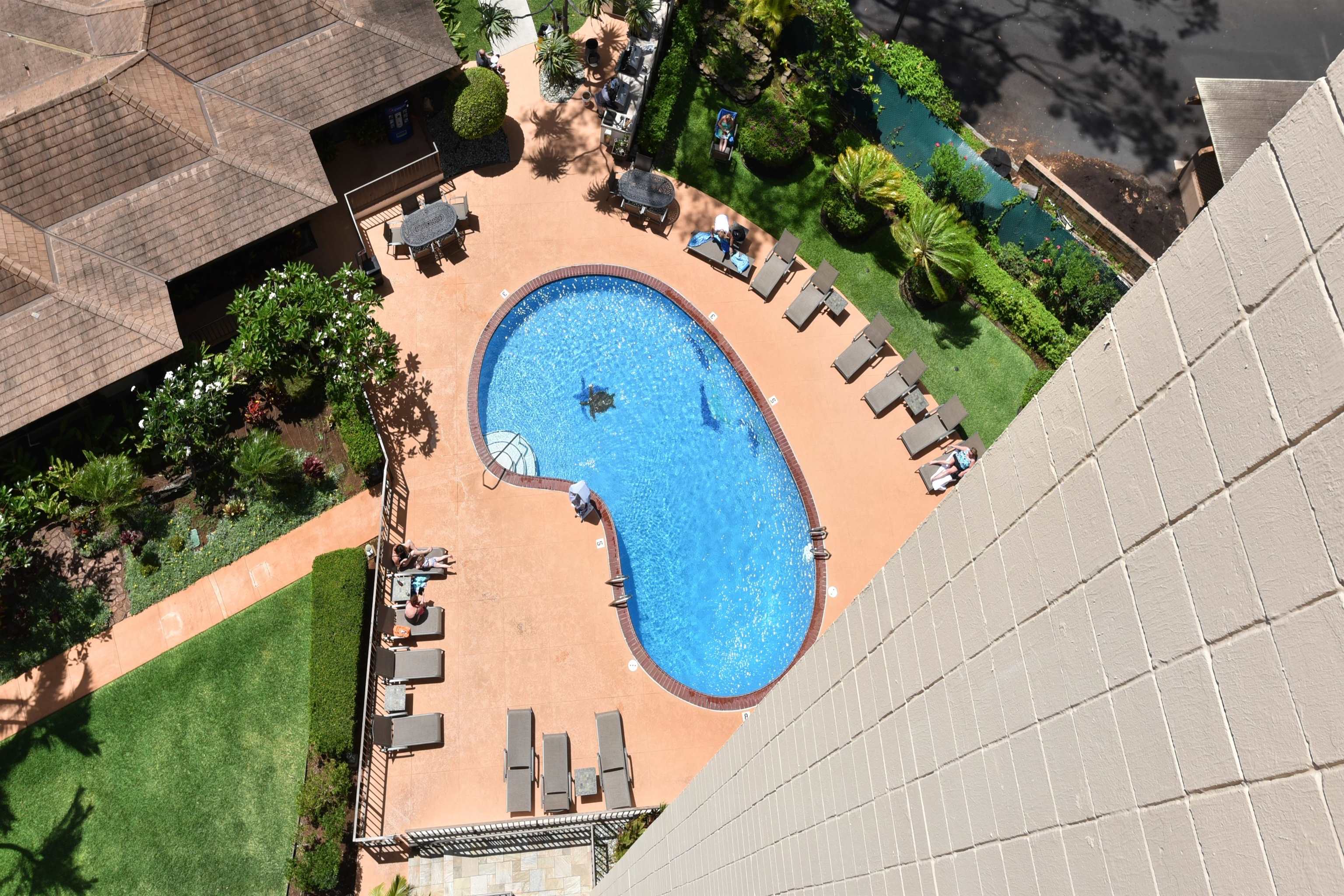 Valley Isle Resort condo # 1104B, Lahaina, Hawaii - photo 29 of 38