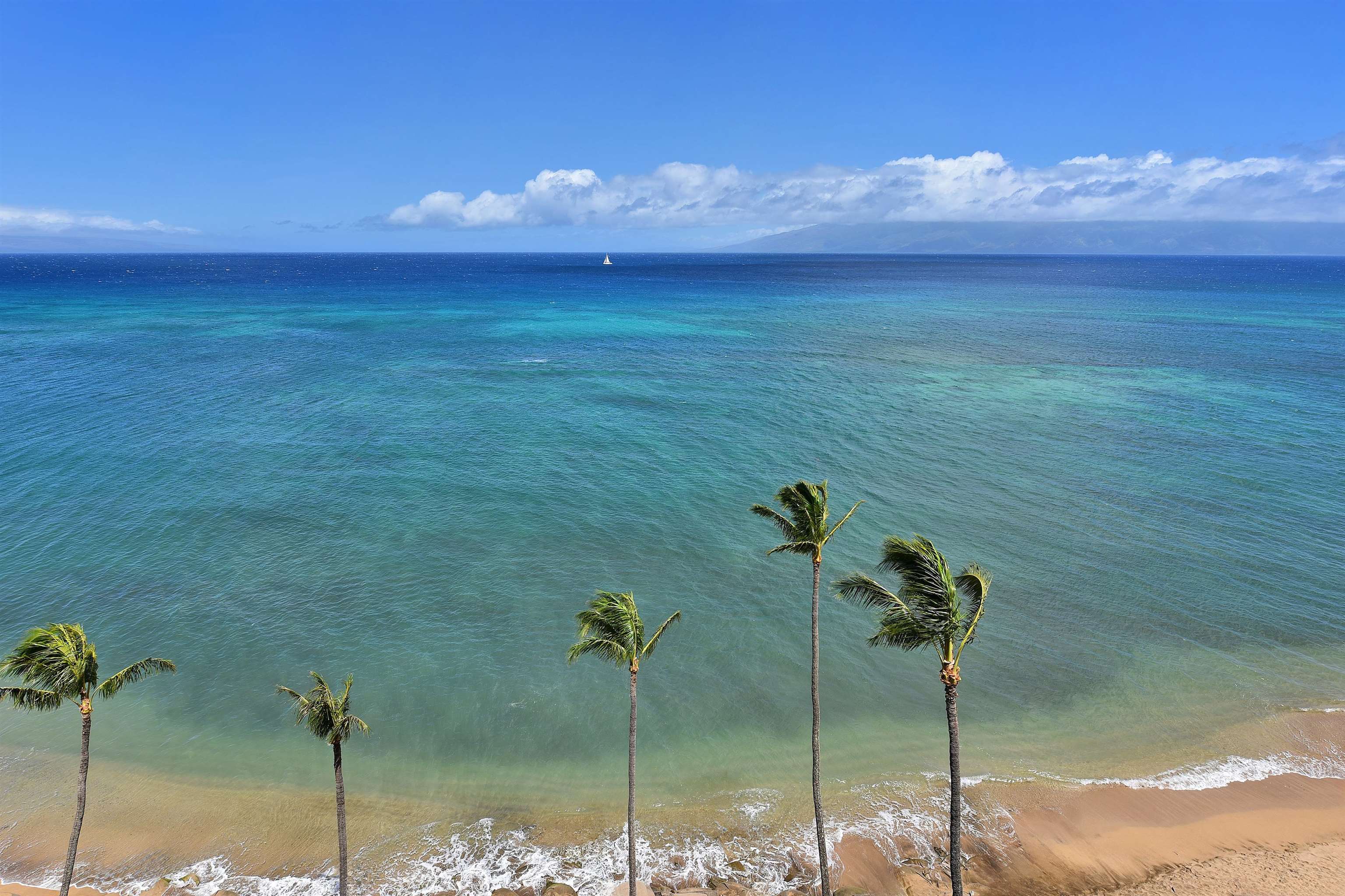 Valley Isle Resort condo # 1104B, Lahaina, Hawaii - photo 9 of 38
