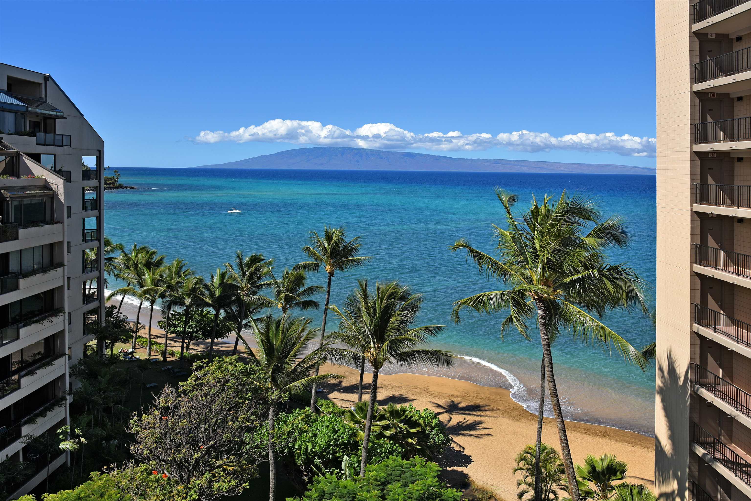 Valley Isle Resort condo # 1203, Lahaina, Hawaii - photo 4 of 35