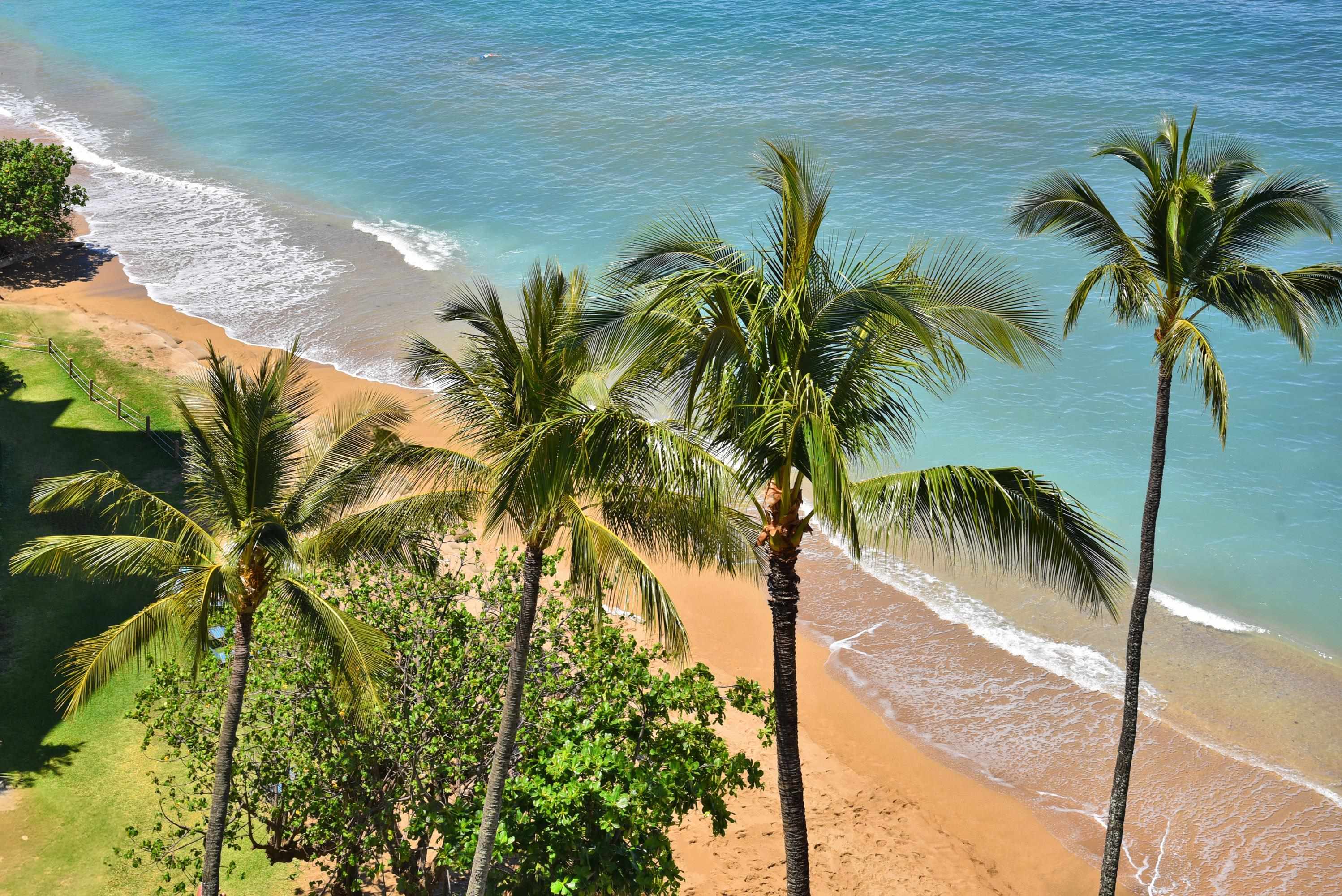 Valley Isle Resort condo # 1203, Lahaina, Hawaii - photo 6 of 35