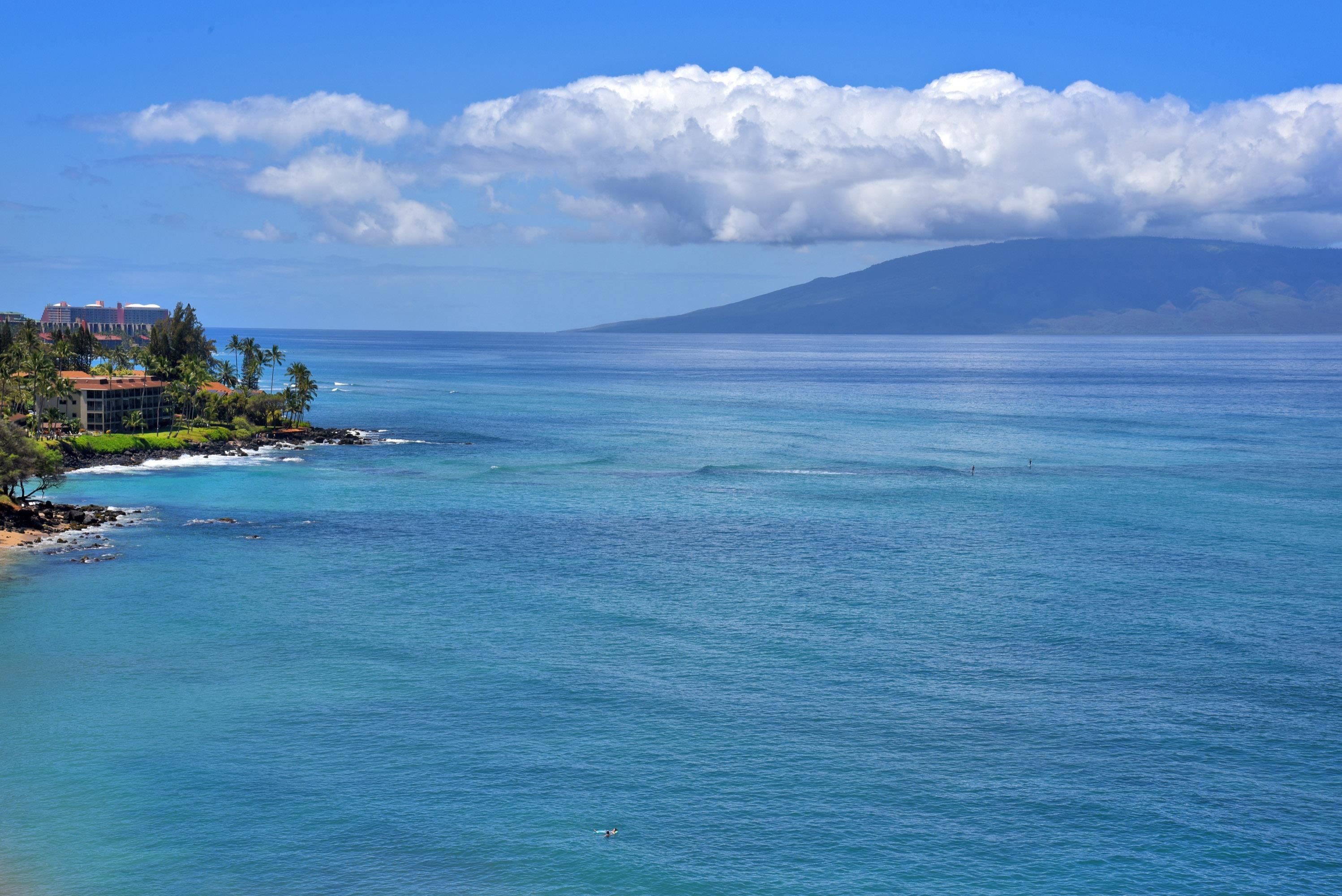 Valley Isle Resort condo # 1203, Lahaina, Hawaii - photo 7 of 35