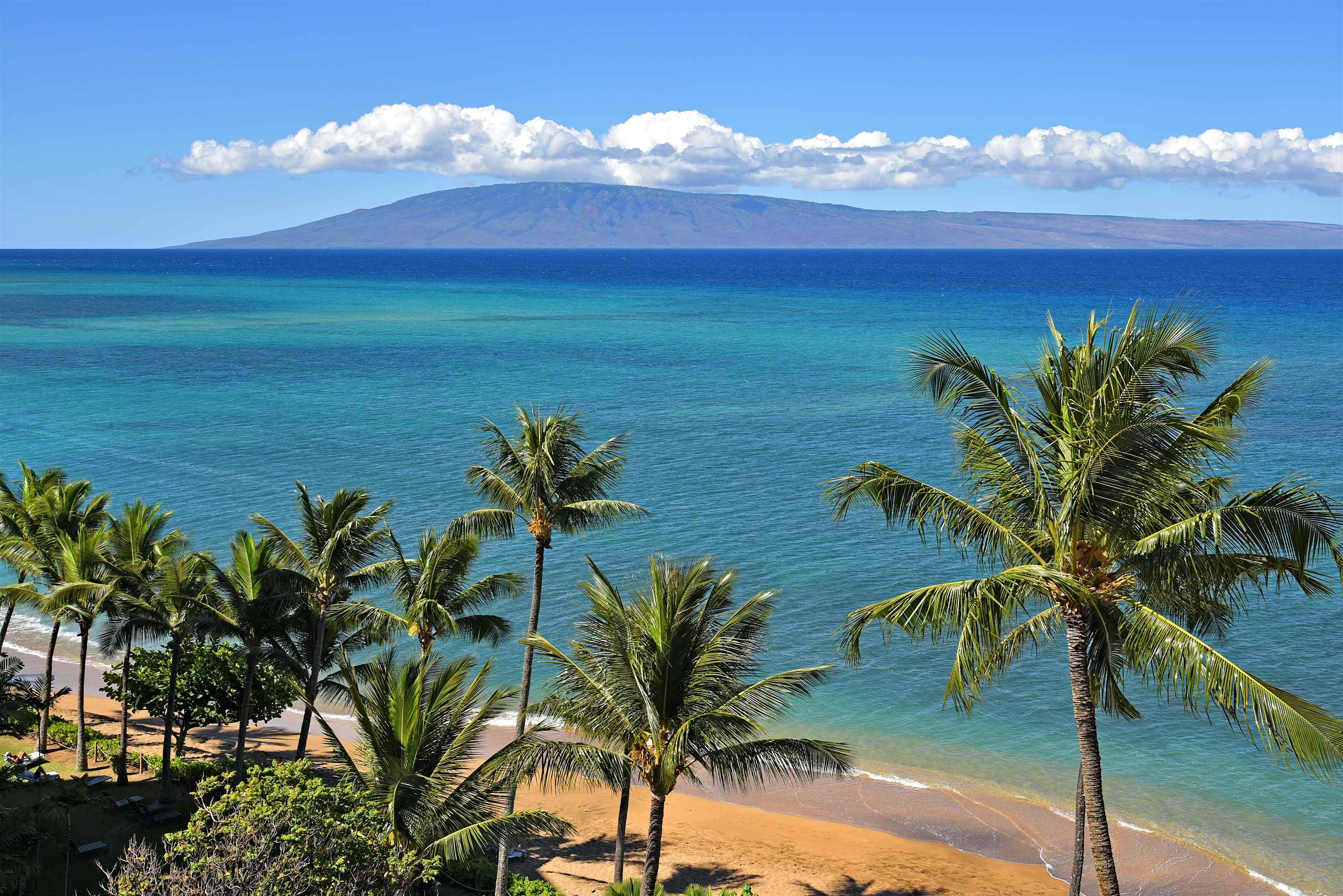 Valley Isle Resort condo # 1203, Lahaina, Hawaii - photo 8 of 35