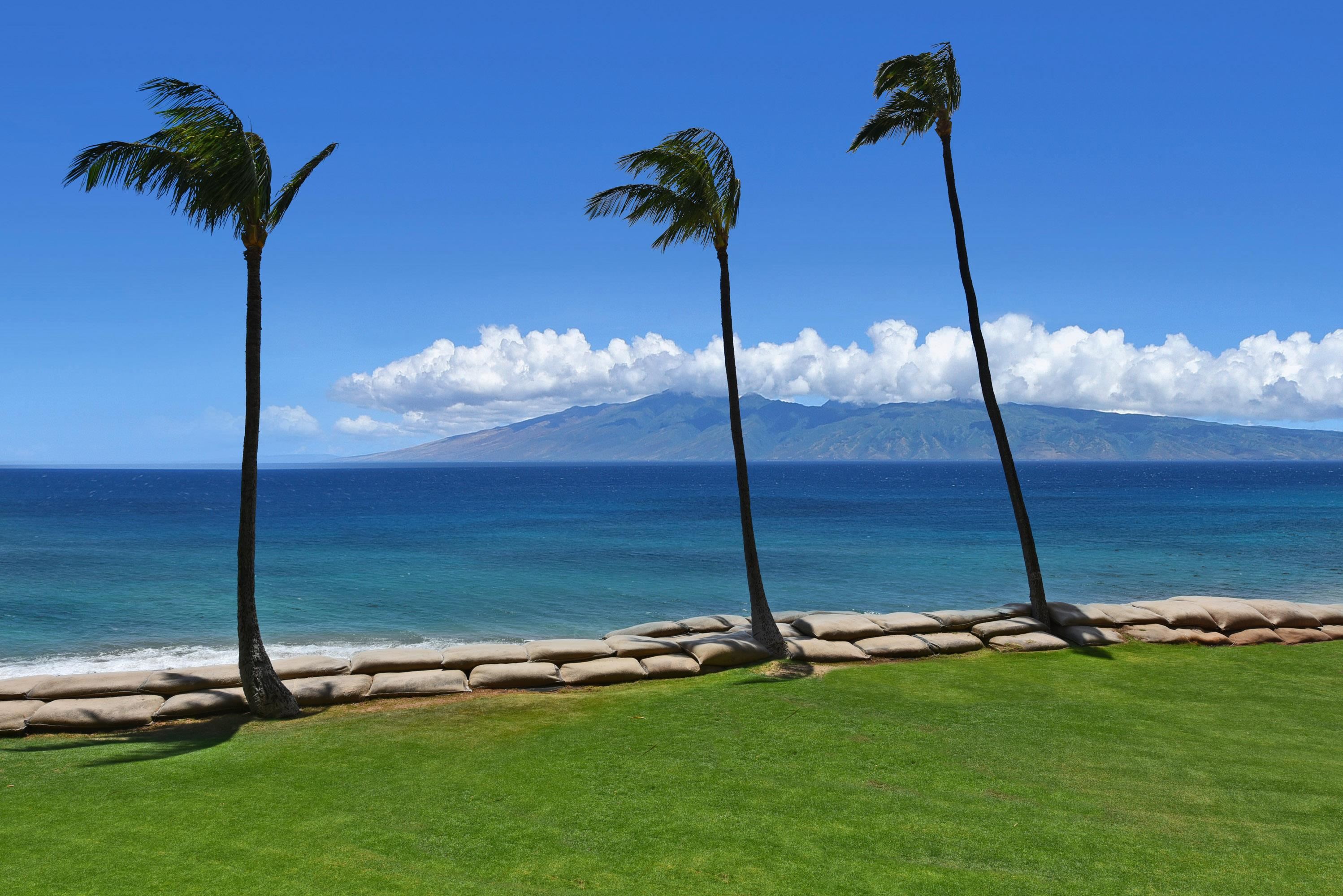 Valley Isle Resort condo # 207B, Lahaina, Hawaii - photo 26 of 45