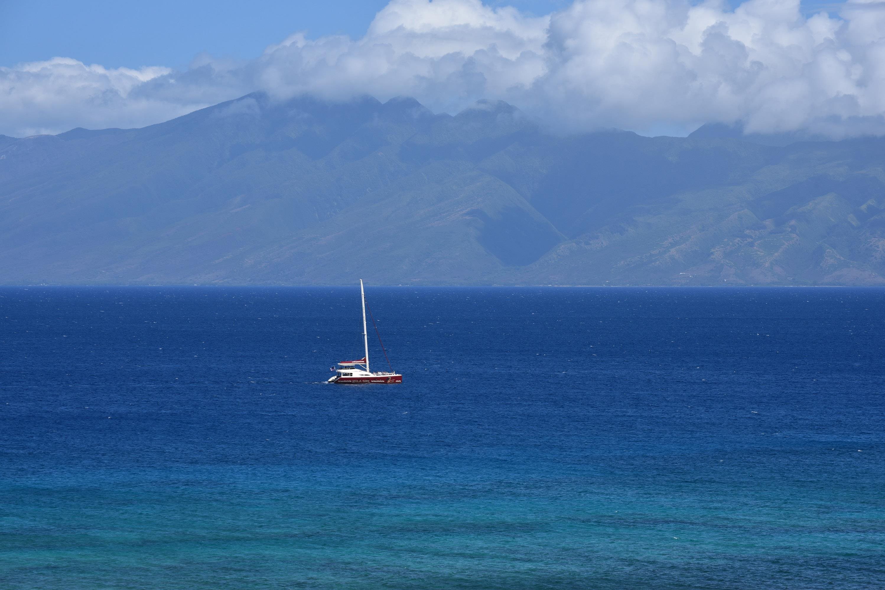 Valley Isle Resort condo # 207B, Lahaina, Hawaii - photo 30 of 45