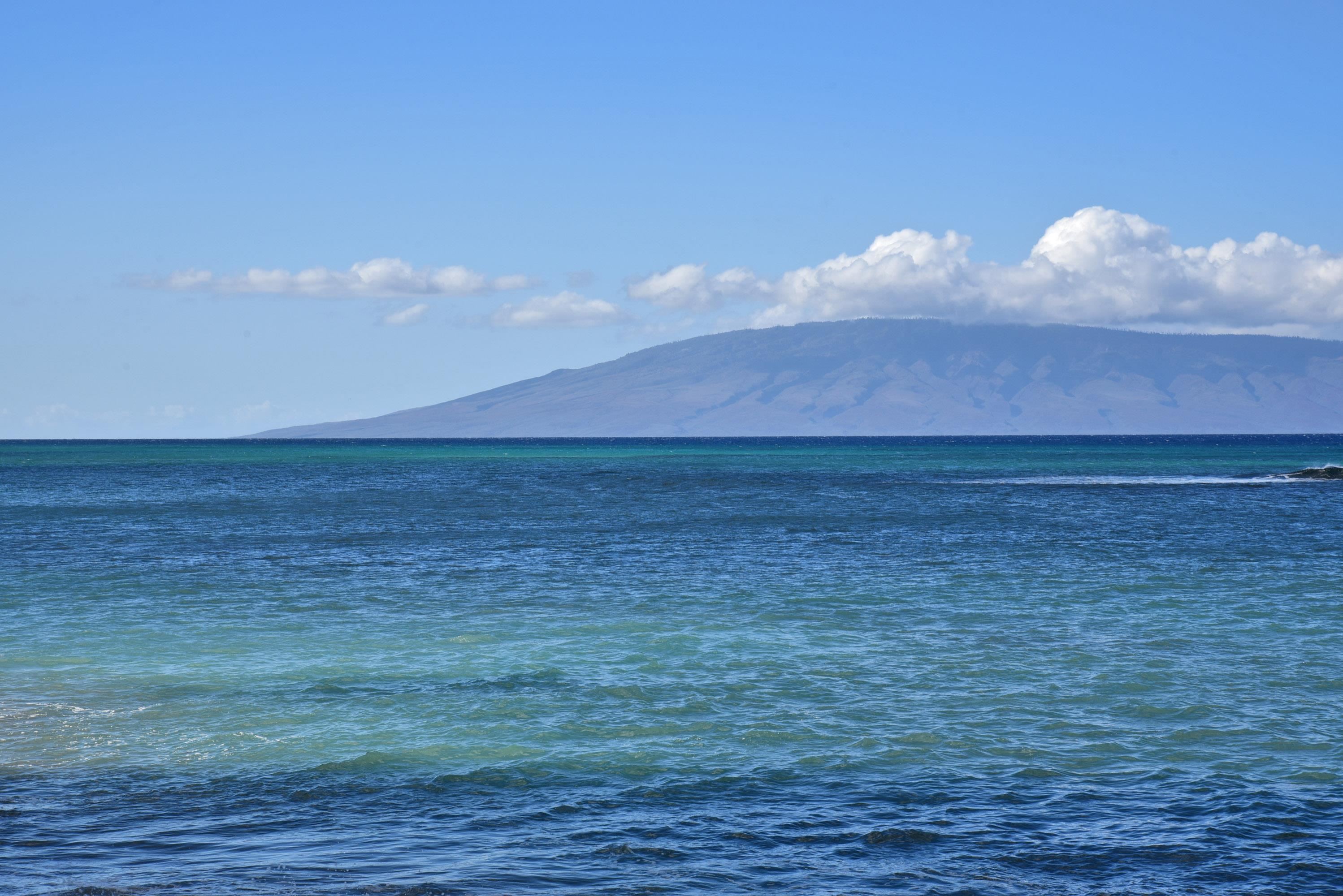 Valley Isle Resort condo # 207B, Lahaina, Hawaii - photo 31 of 45