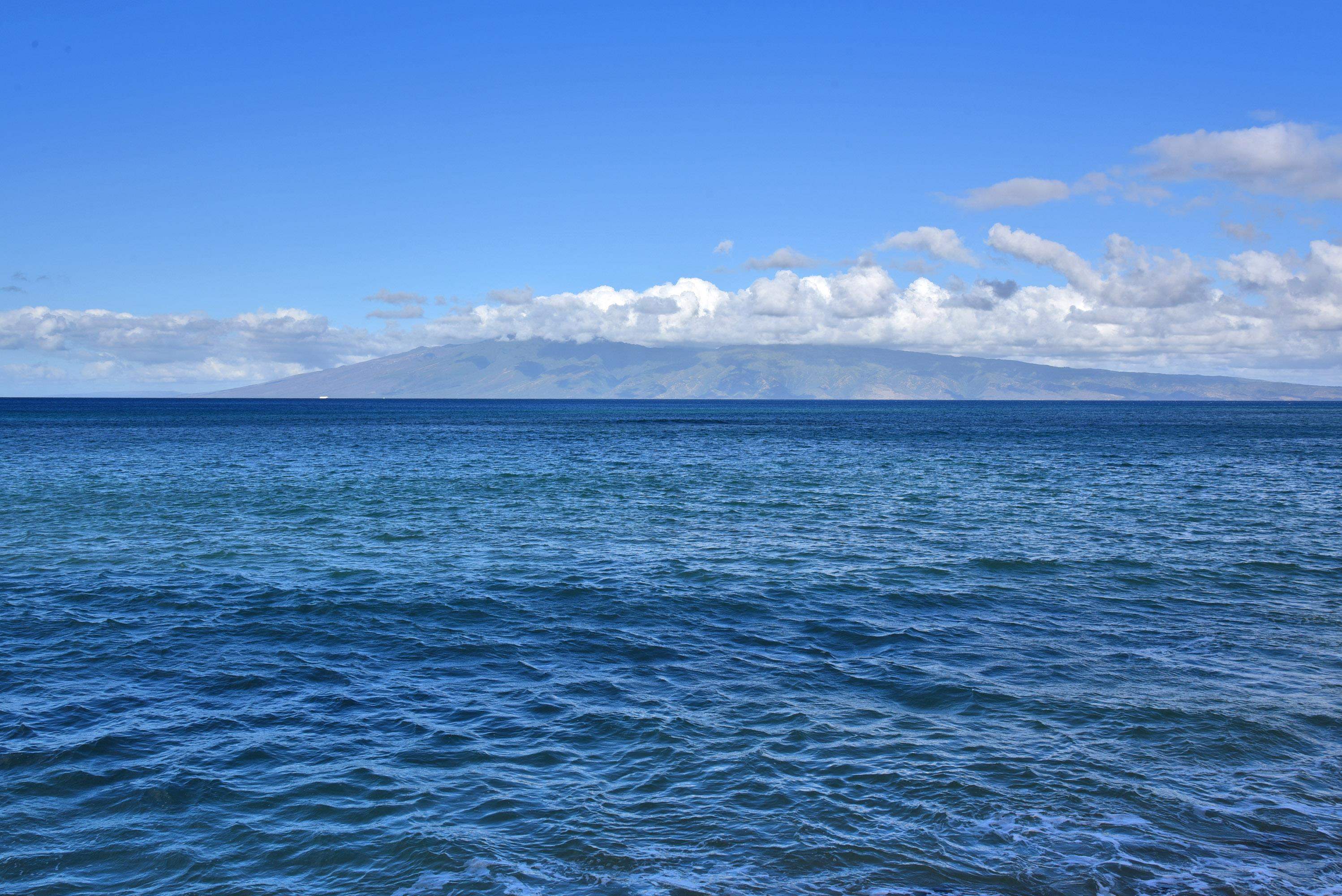 Valley Isle Resort condo # 207B, Lahaina, Hawaii - photo 44 of 45