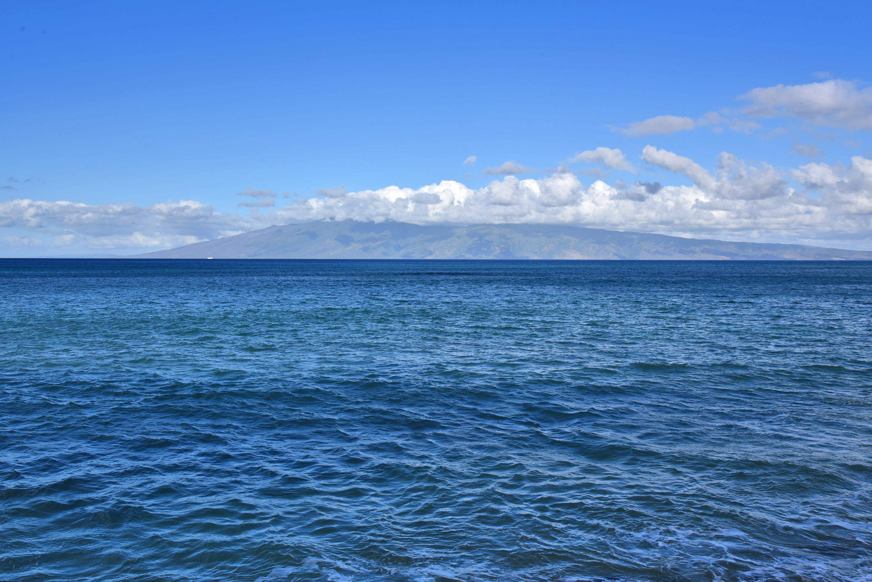 Valley Isle Resort condo # 207B, Lahaina, Hawaii - photo 44 of 45