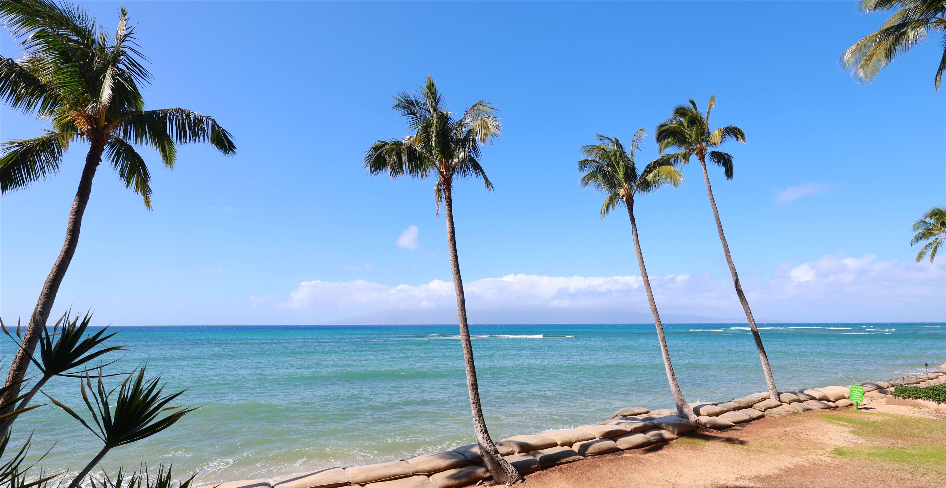 Valley Isle Resort condo # 208, Lahaina, Hawaii - photo 8 of 48