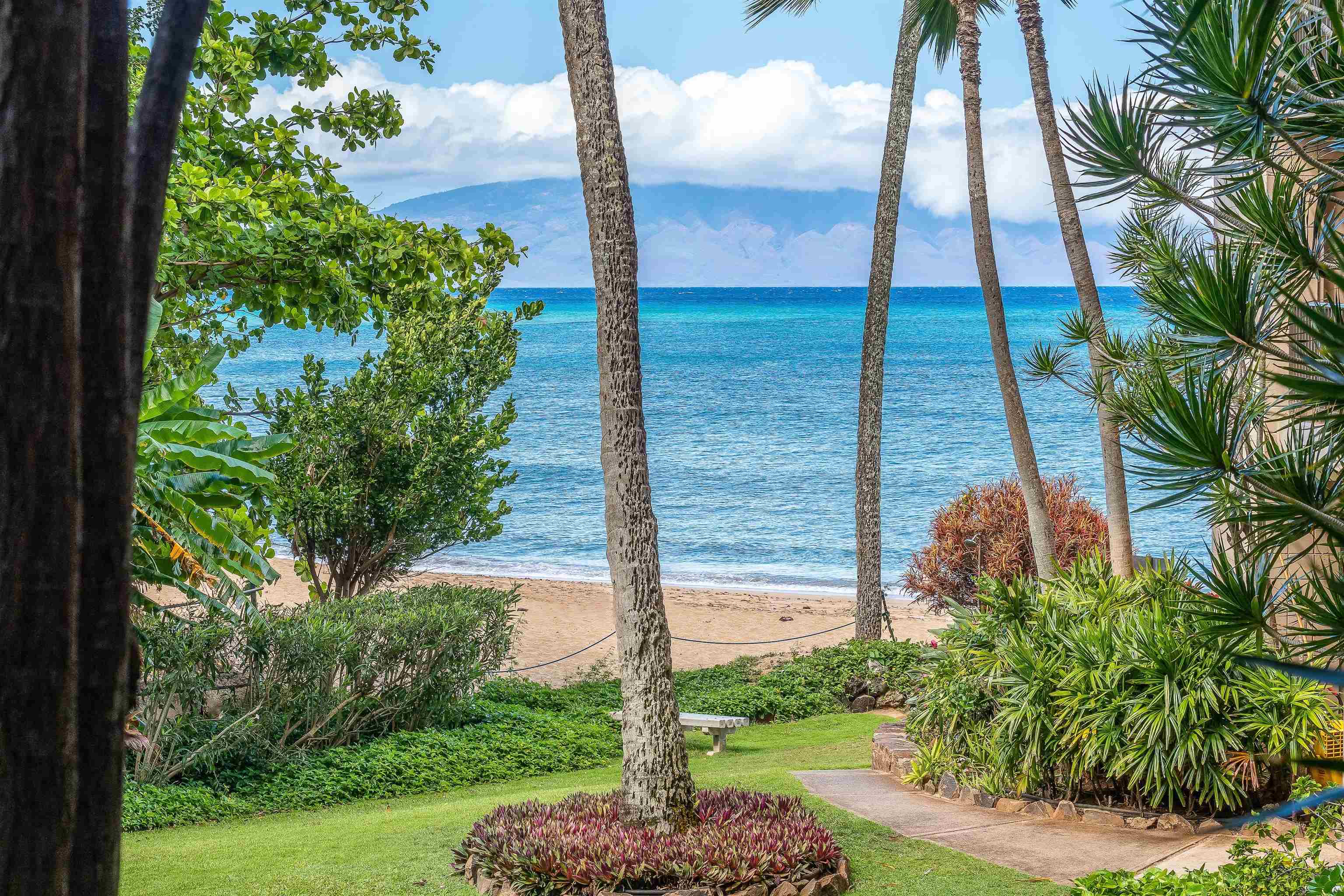Valley Isle Resort condo # 309, Lahaina, Hawaii - photo 20 of 31