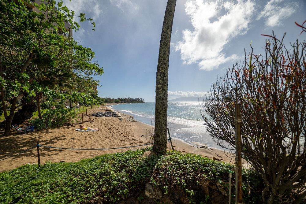 Valley Isle Resort condo # 403, Lahaina, Hawaii - photo 33 of 42