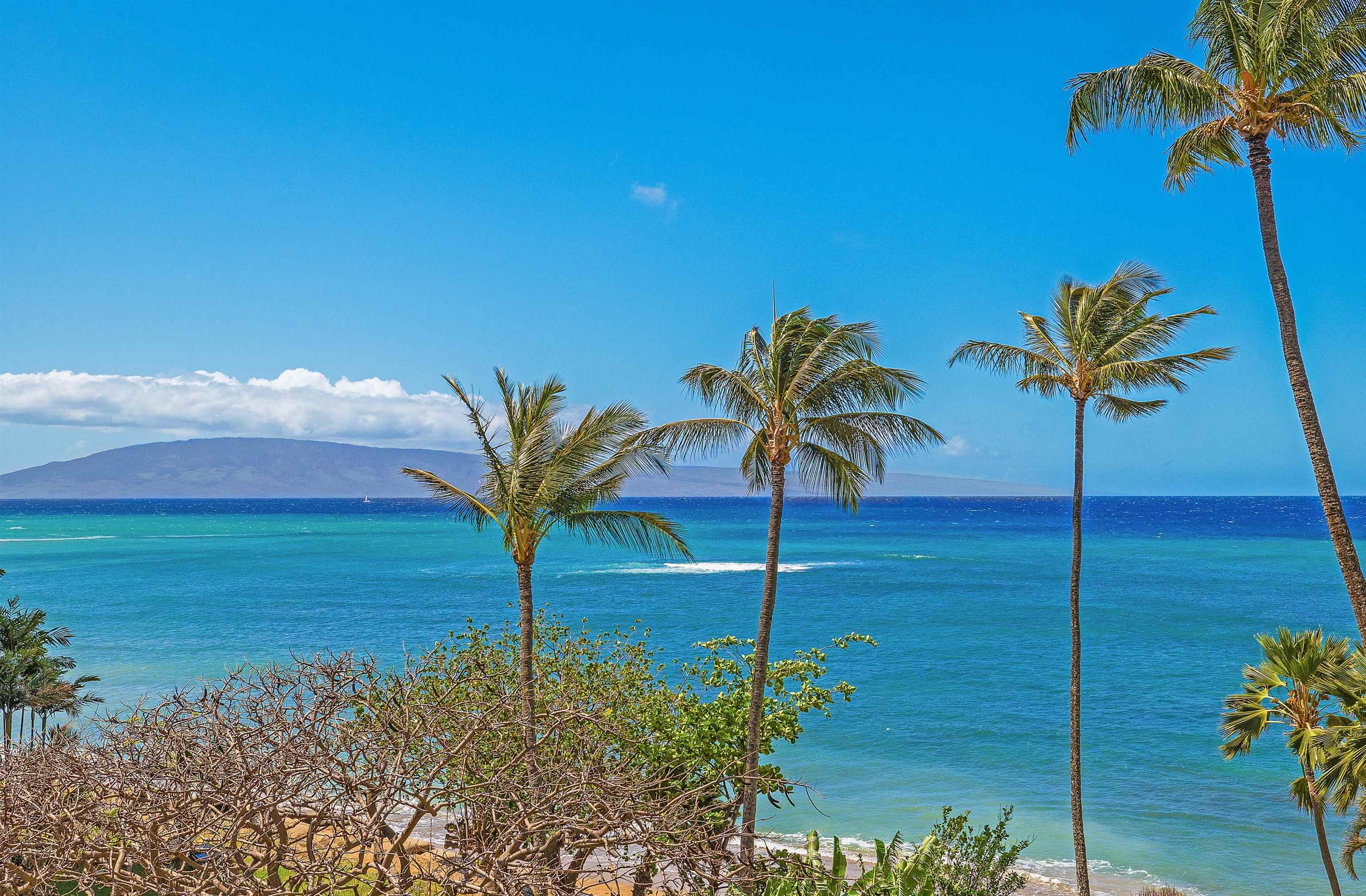 Valley Isle Resort condo # 501B, Lahaina, Hawaii - photo 2 of 24