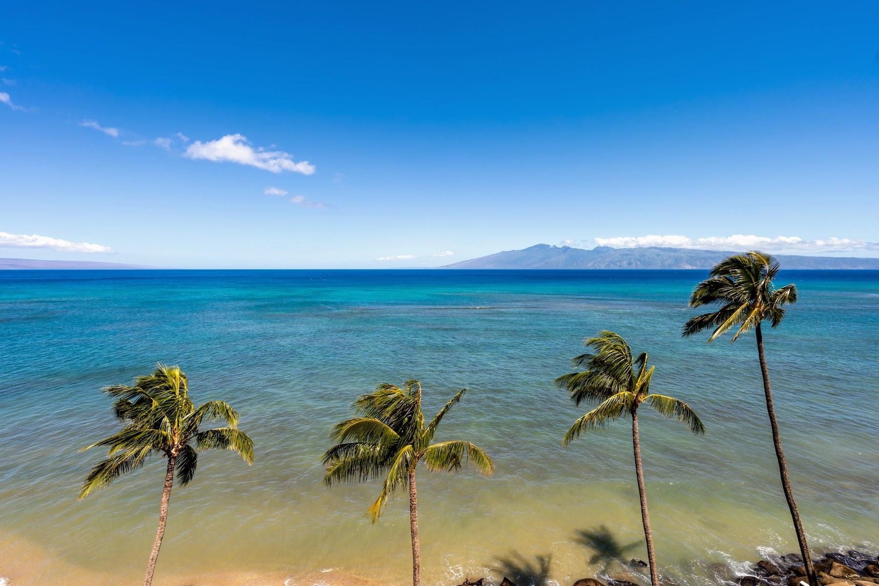 Valley Isle Resort condo # 705B, Lahaina, Hawaii - photo 4 of 30