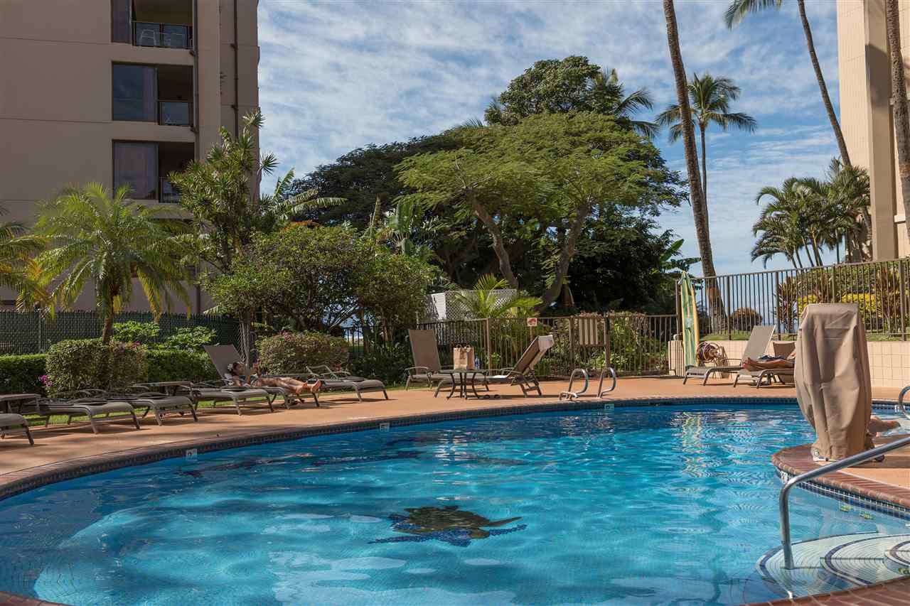 Valley Isle Resort condo # 902b, Lahaina, Hawaii - photo 29 of 30