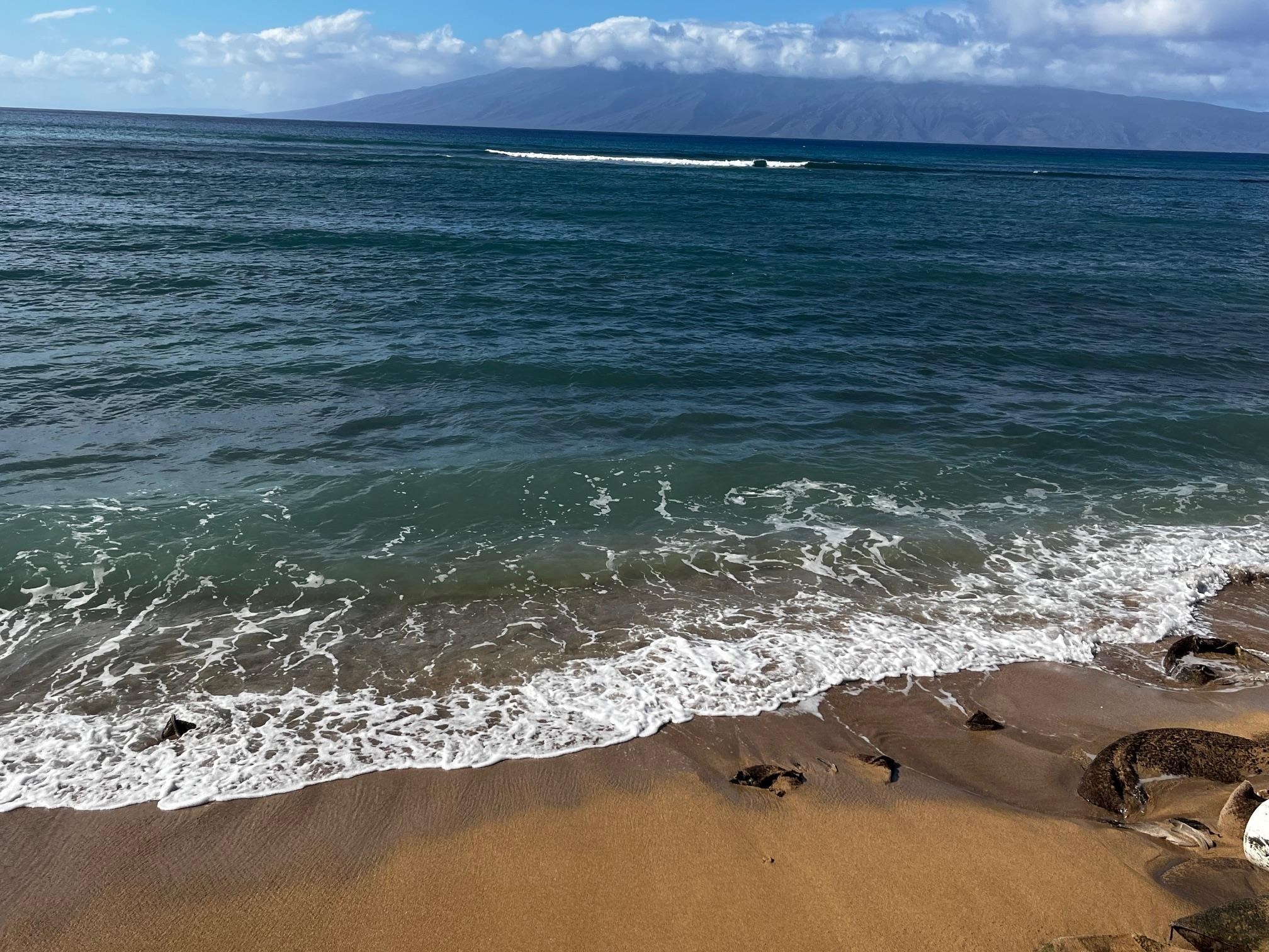 Valley Isle Resort condo # 904B, Lahaina, Hawaii - photo 8 of 8