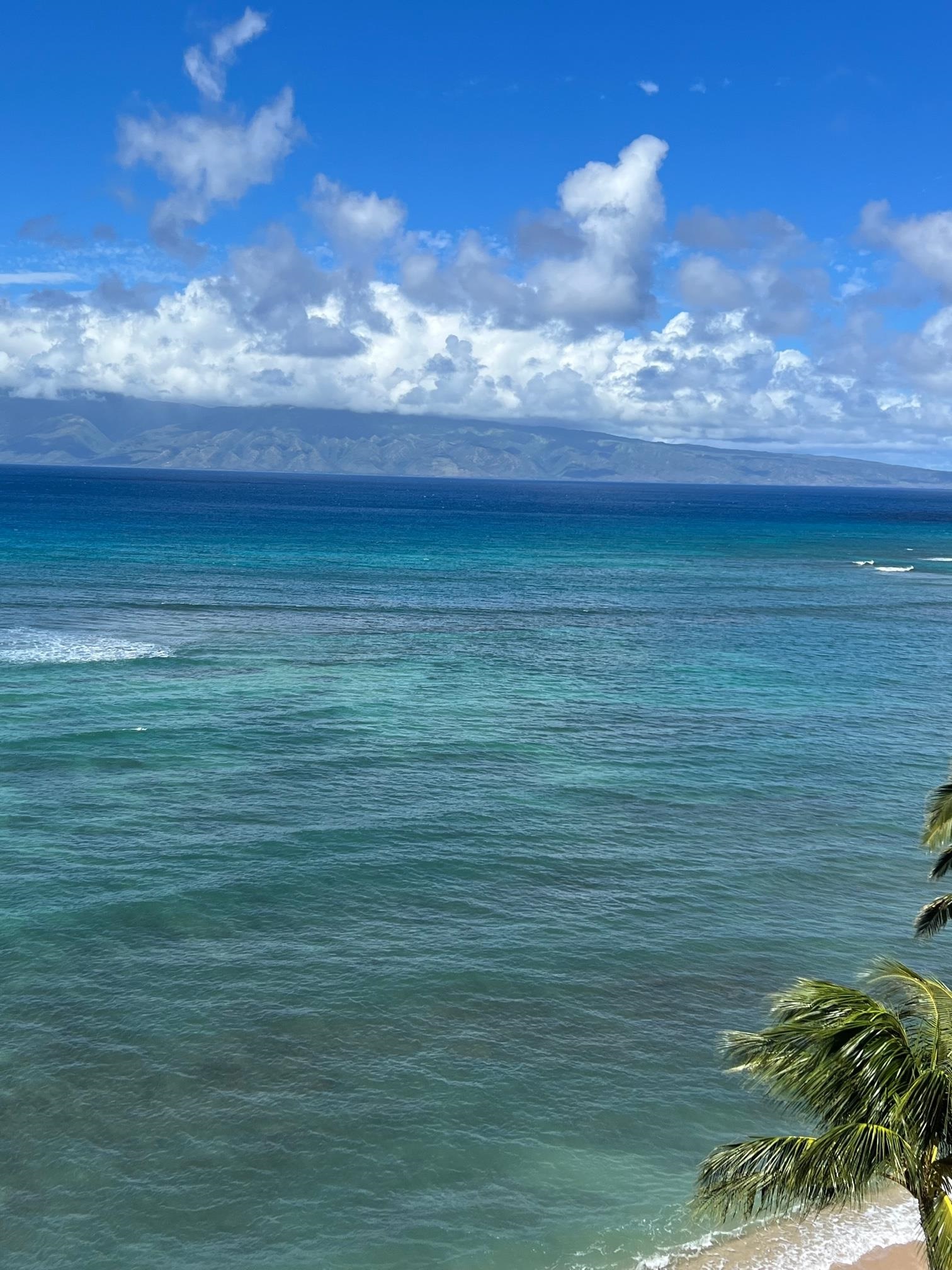 Valley Isle Resort condo # 908B, Lahaina, Hawaii - photo 7 of 28