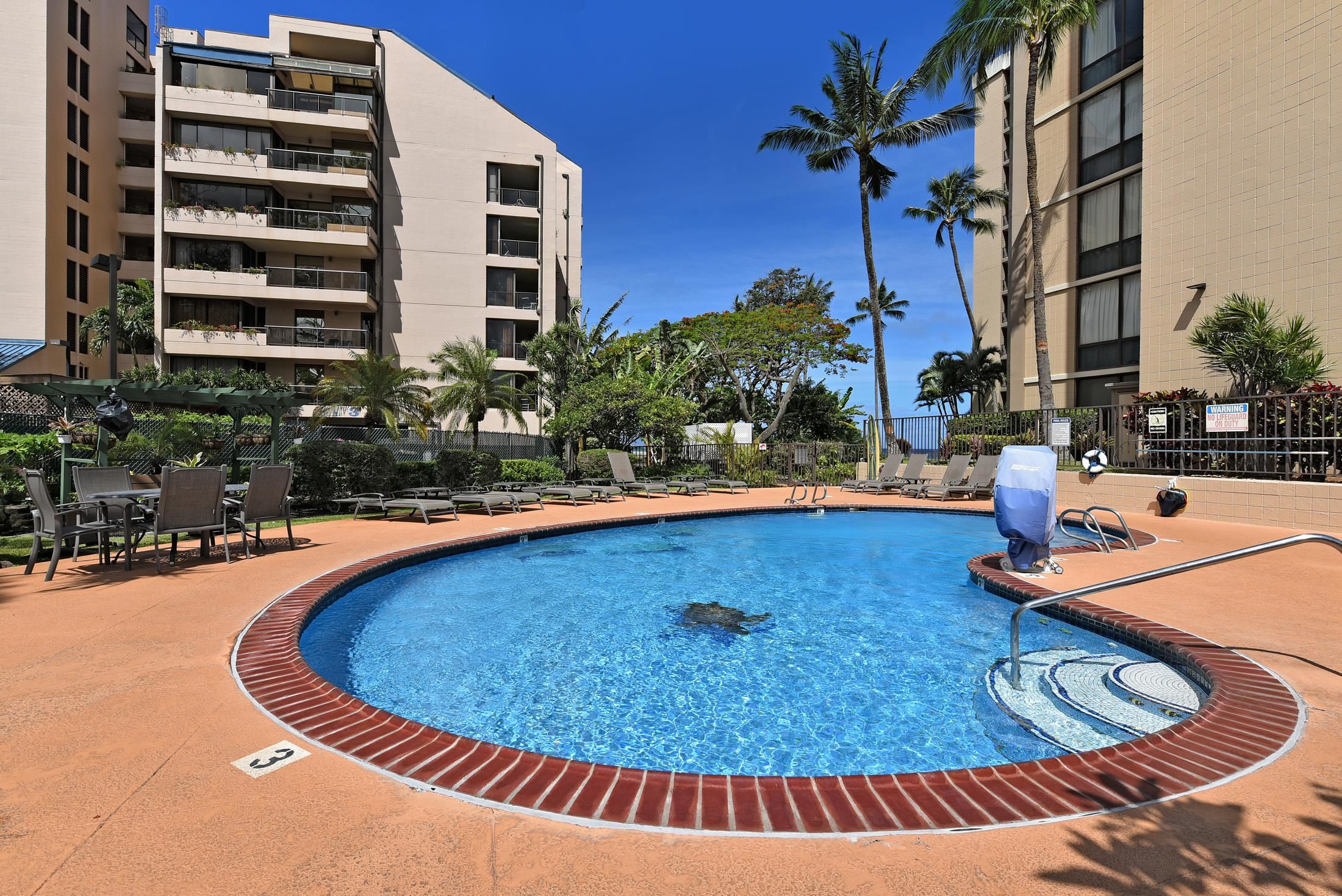 Valley Isle Resort condo # 909B, Lahaina, Hawaii - photo 18 of 18