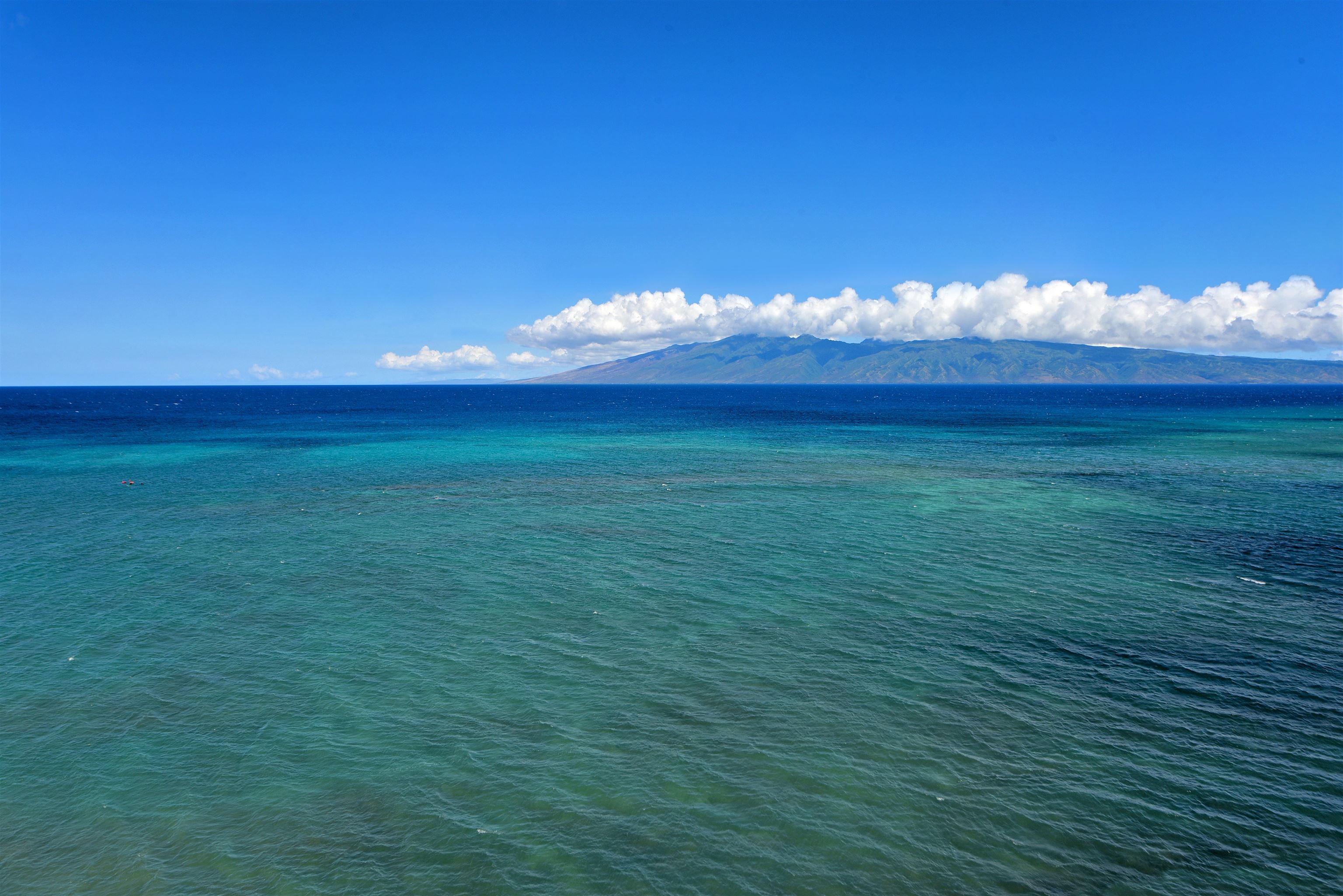 Valley Isle Resort condo # 909B, Lahaina, Hawaii - photo 9 of 18