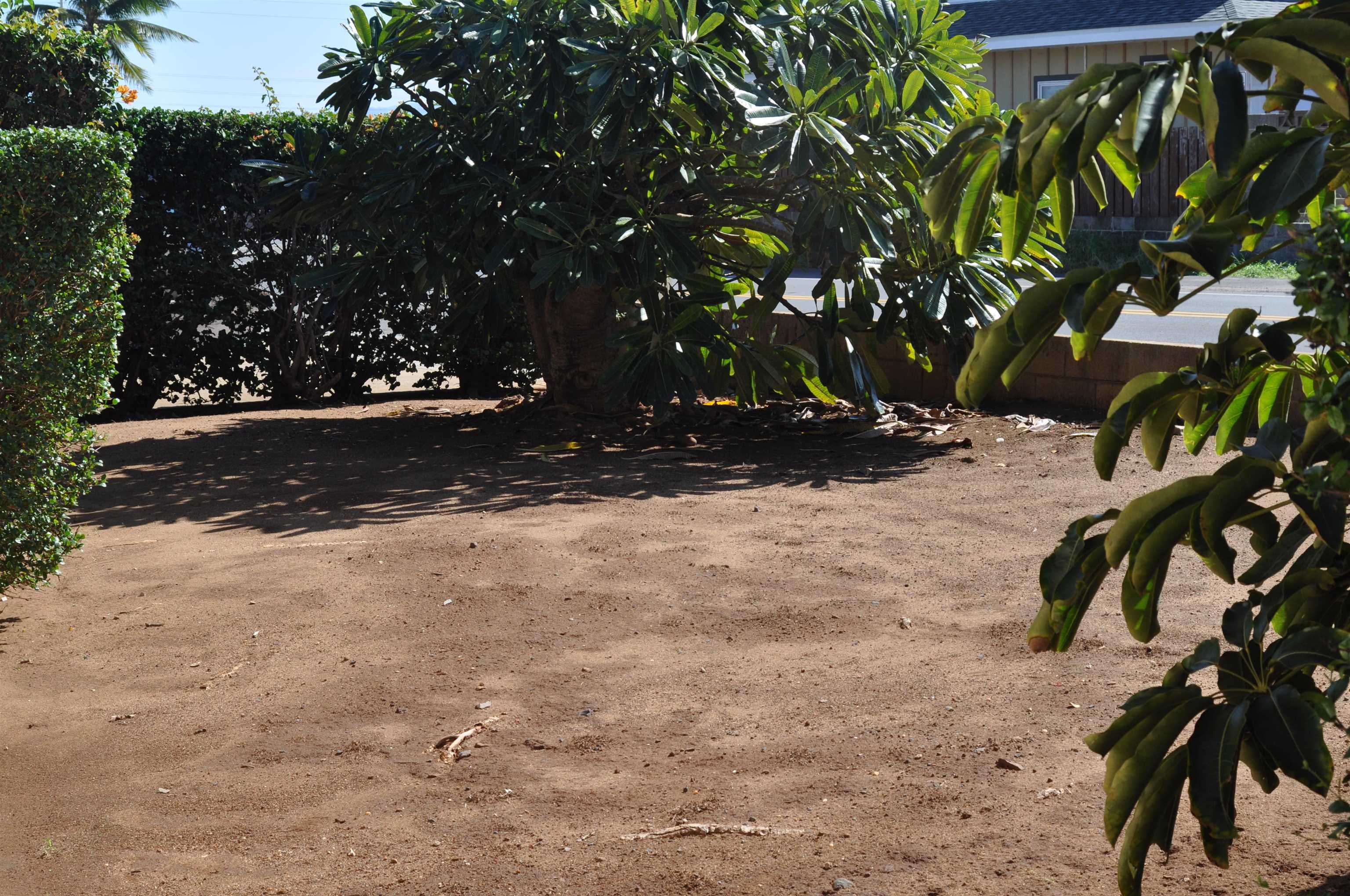 434  Kea St , Kahului home - photo 19 of 20