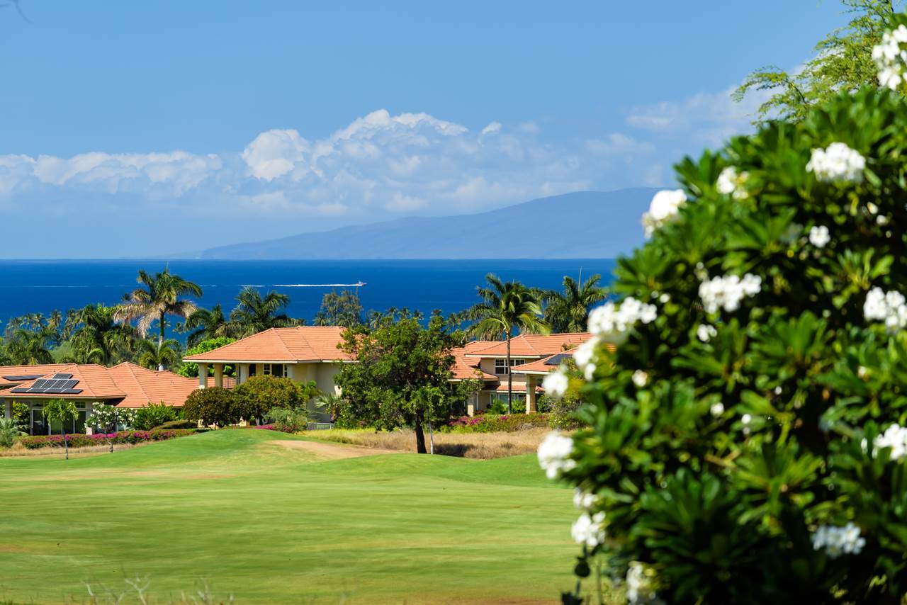 Hokulani Golf Villas condo # 31, Kihei, Hawaii - photo 9 of 28