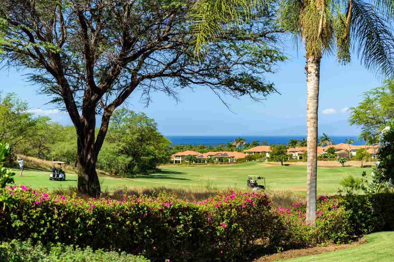 Hokulani Golf Villas condo # 31, Kihei, Hawaii - photo 10 of 28