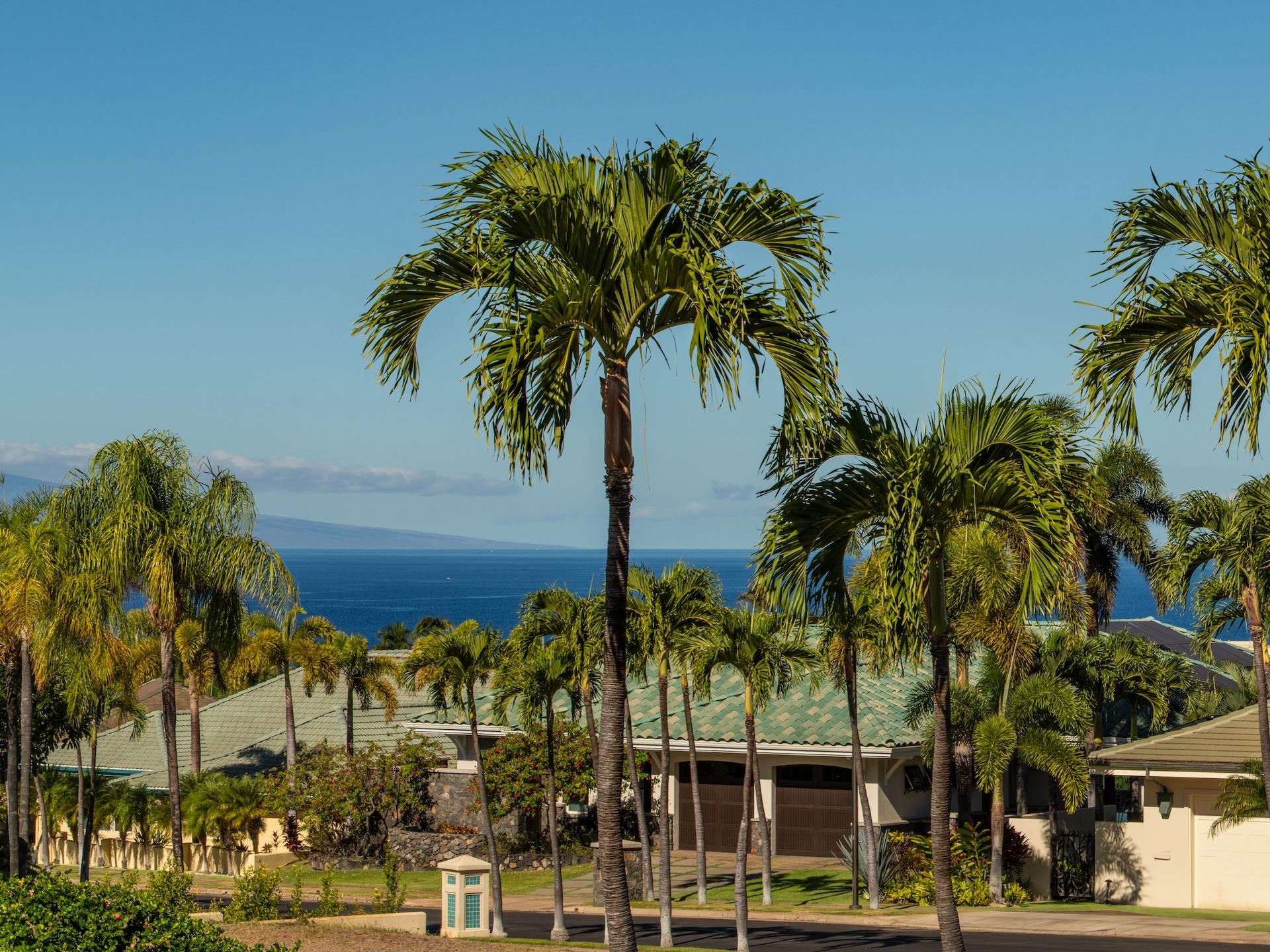 4351  Wailina St Wailea, Wailea/Makena home - photo 12 of 50