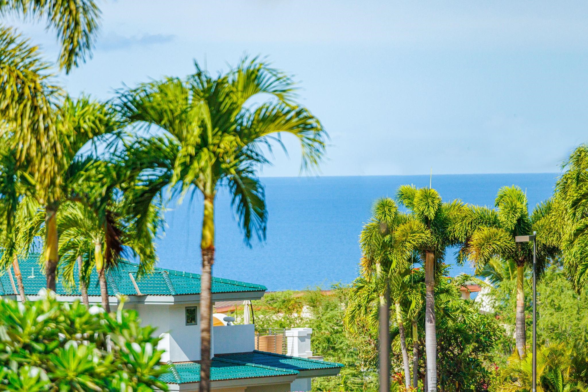 4361  Waiola Loop Wailea, Wailea/Makena home - photo 17 of 50