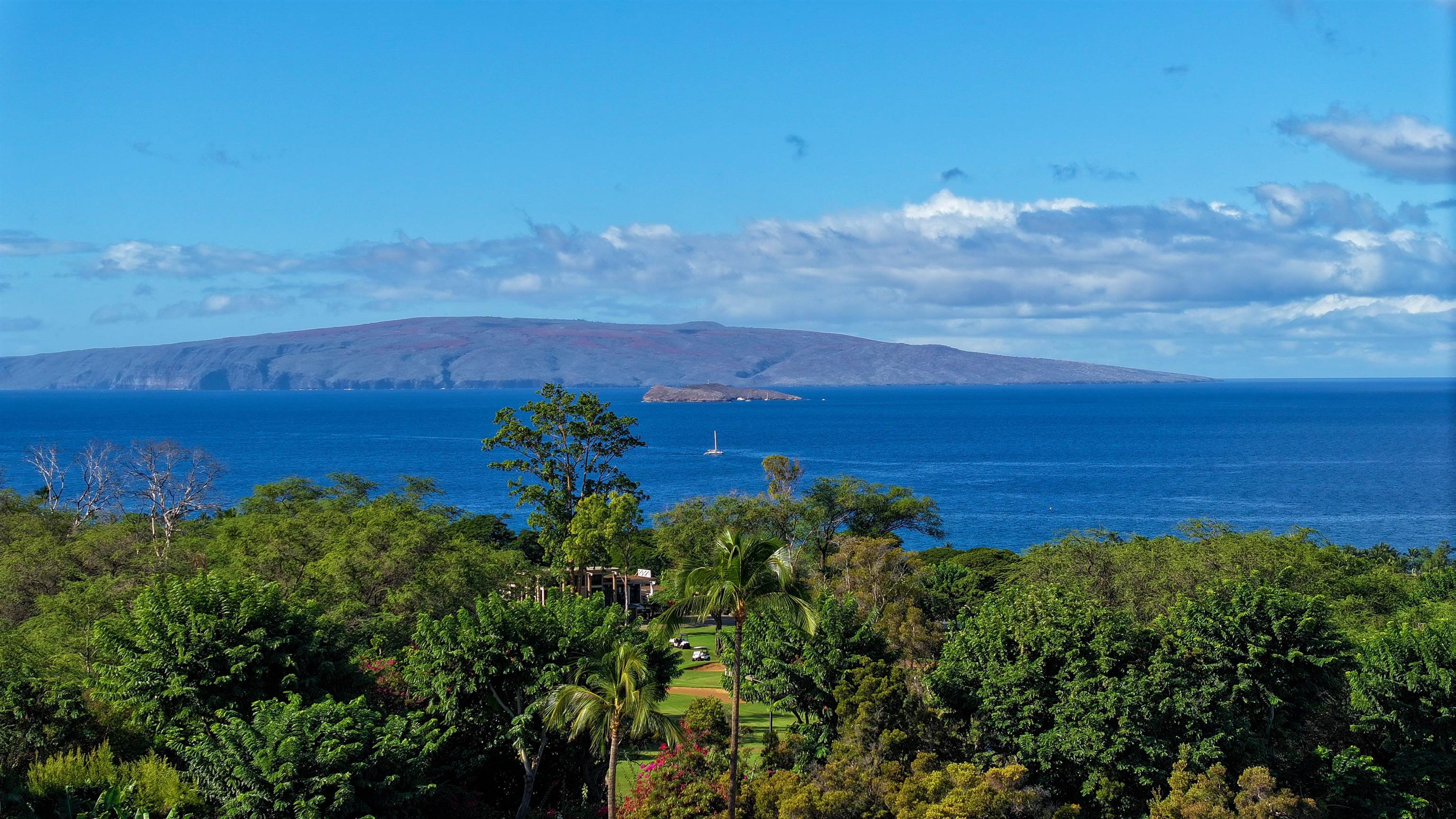 4362 Melianani Pl Lot #5 Kihei, Hi vacant land for sale - photo 12 of 17