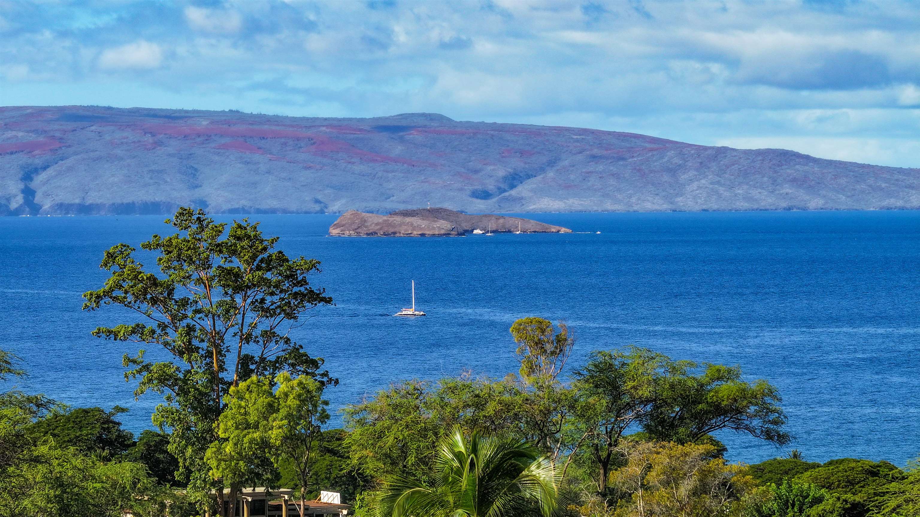 4362 Melianani Pl Lot #5 Kihei, Hi vacant land for sale - photo 14 of 17
