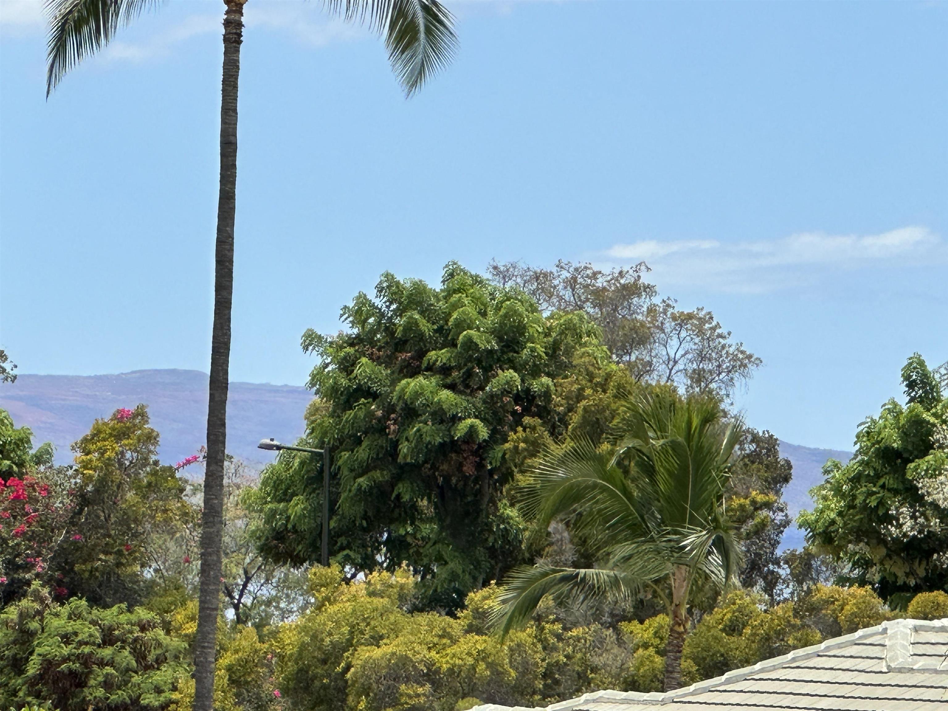 4362 Melianani Pl Lot #5 Kihei, Hi vacant land for sale - photo 10 of 21