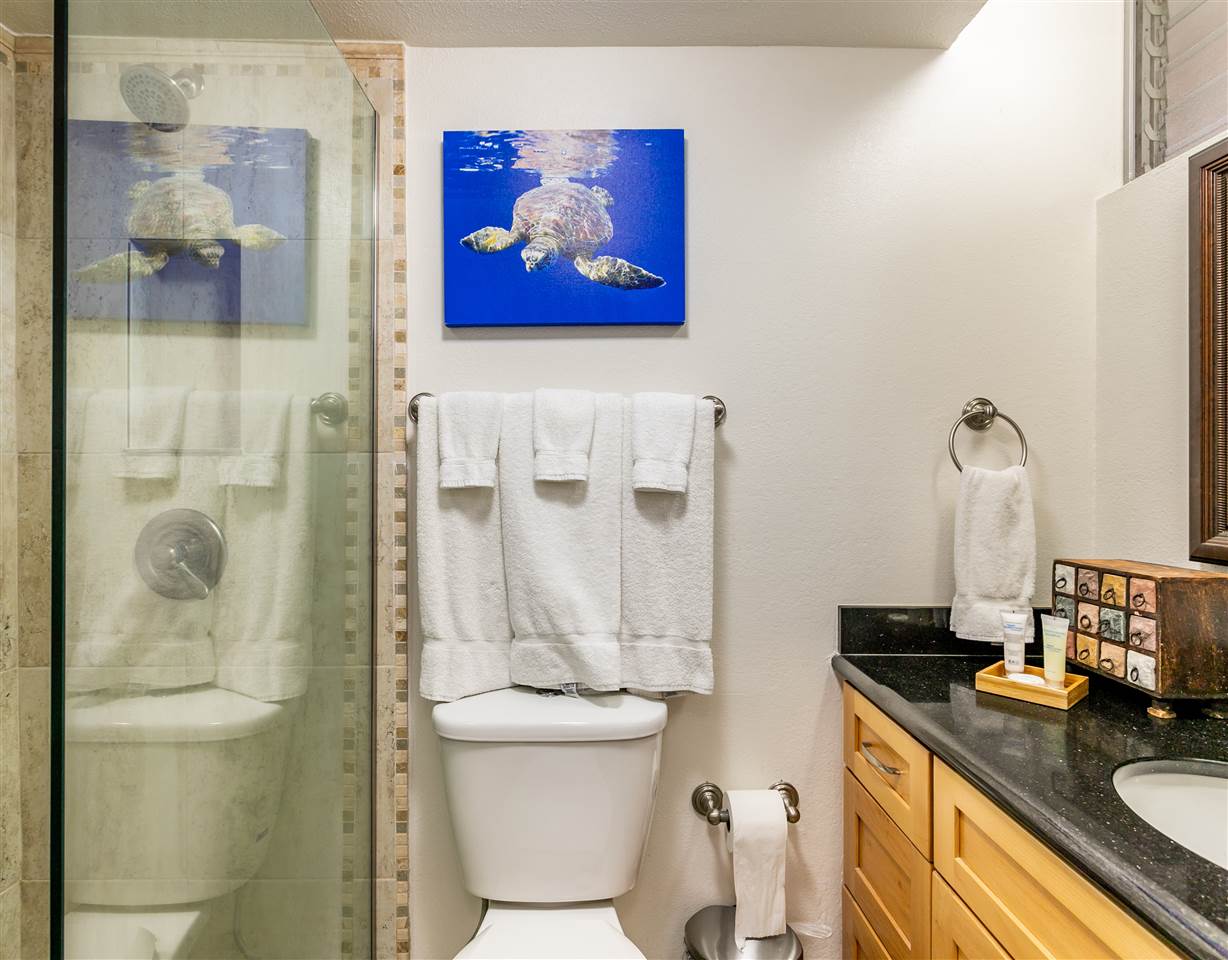 Royal Kahana condo # 105, Lahaina, Hawaii - photo 15 of 30