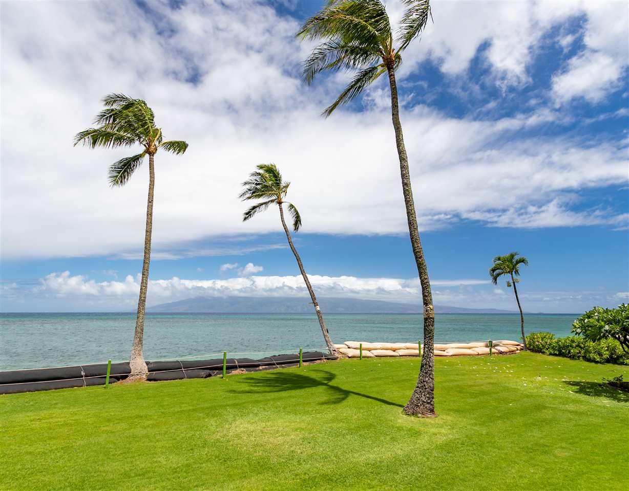 Royal Kahana condo # 105, Lahaina, Hawaii - photo 27 of 30