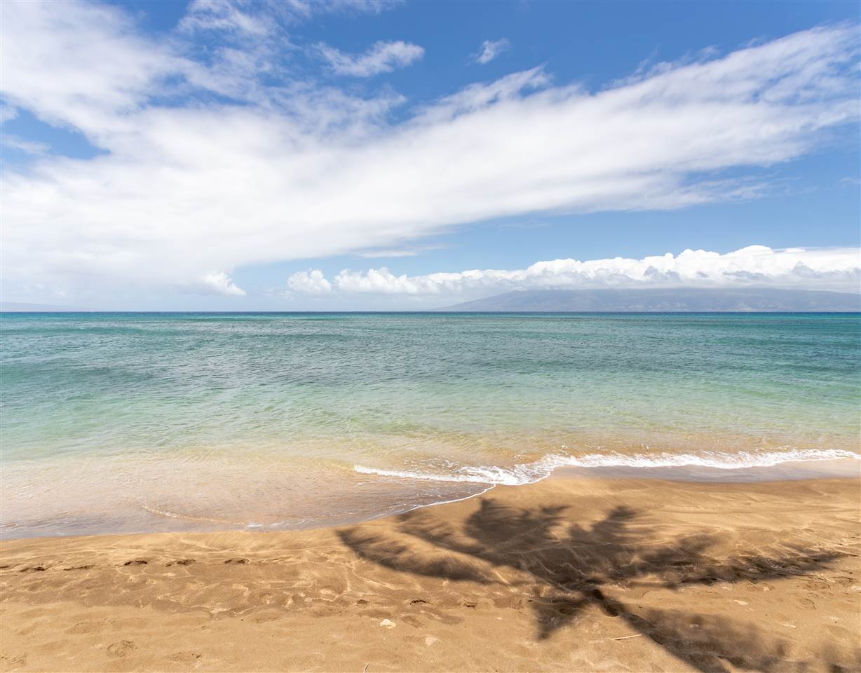 Royal Kahana condo # 105, Lahaina, Hawaii - photo 28 of 30