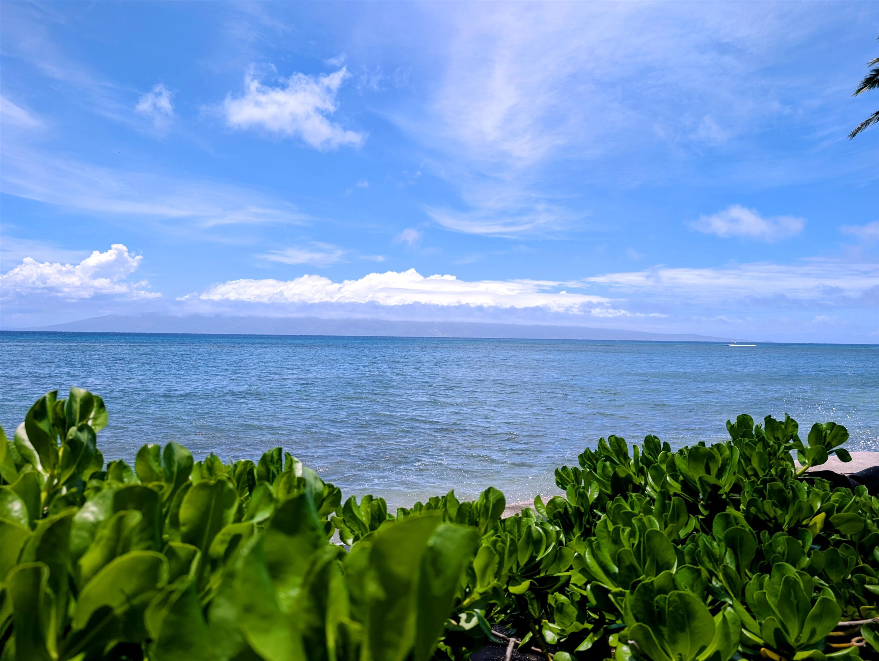 Royal Kahana condo # 1104, Lahaina, Hawaii - photo 13 of 17