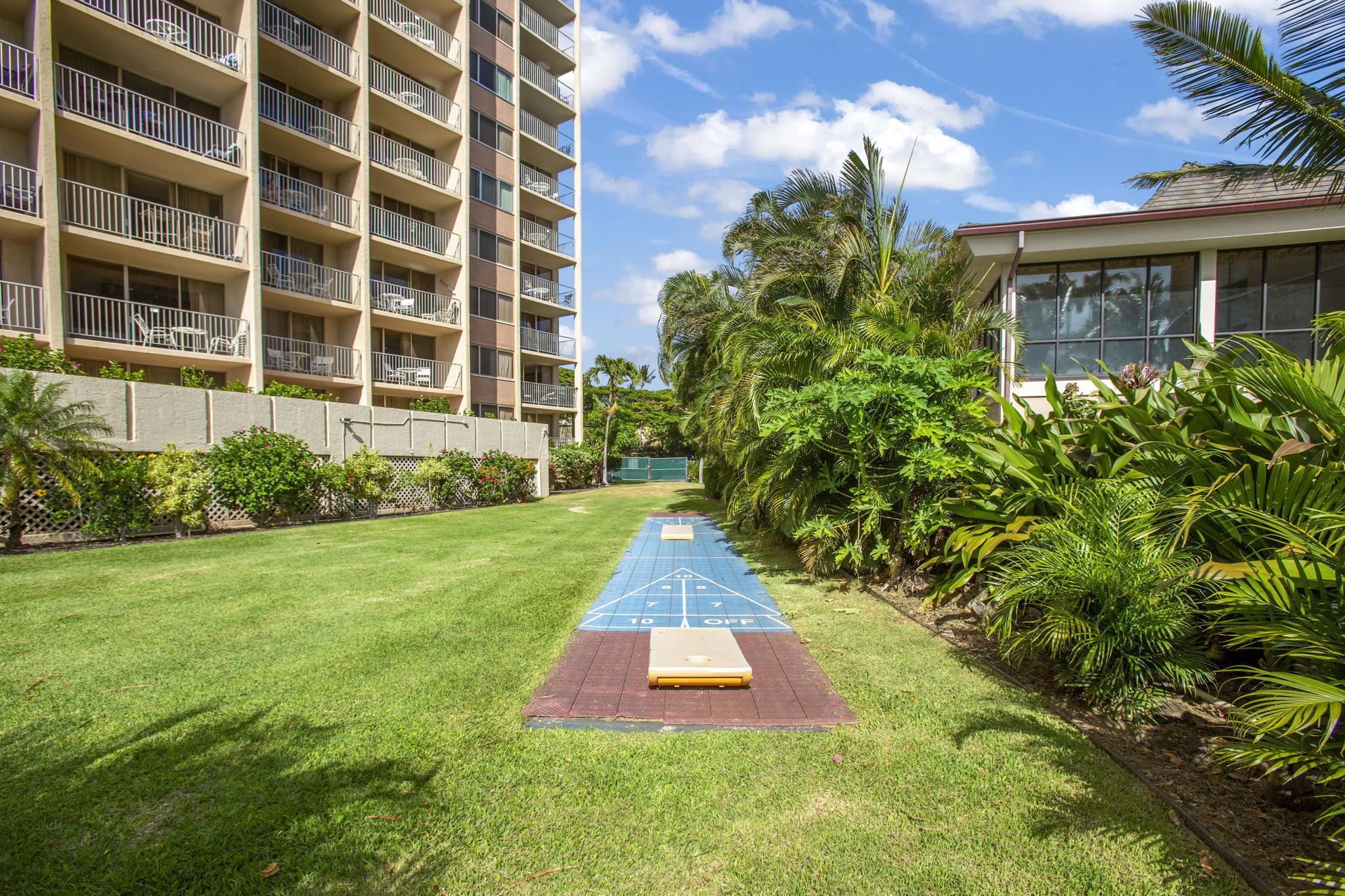 Royal Kahana condo # 1106, Lahaina, Hawaii - photo 29 of 34