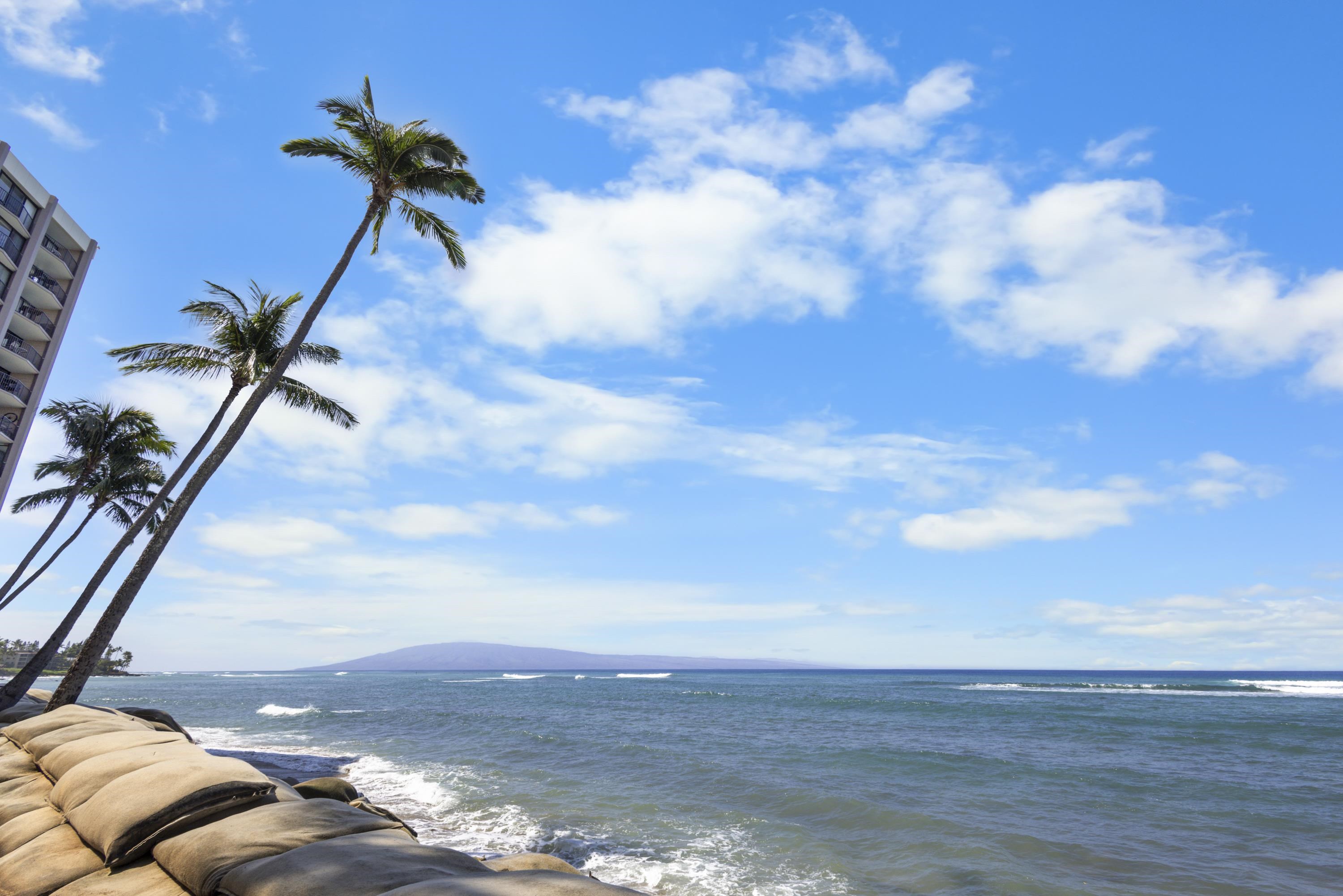 Royal Kahana condo # 115, Lahaina, Hawaii - photo 33 of 44