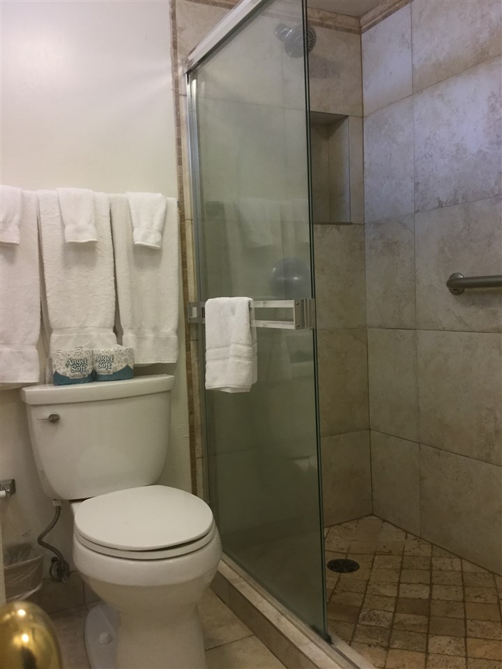 Royal Kahana condo # 203, Lahaina, Hawaii - photo 16 of 18