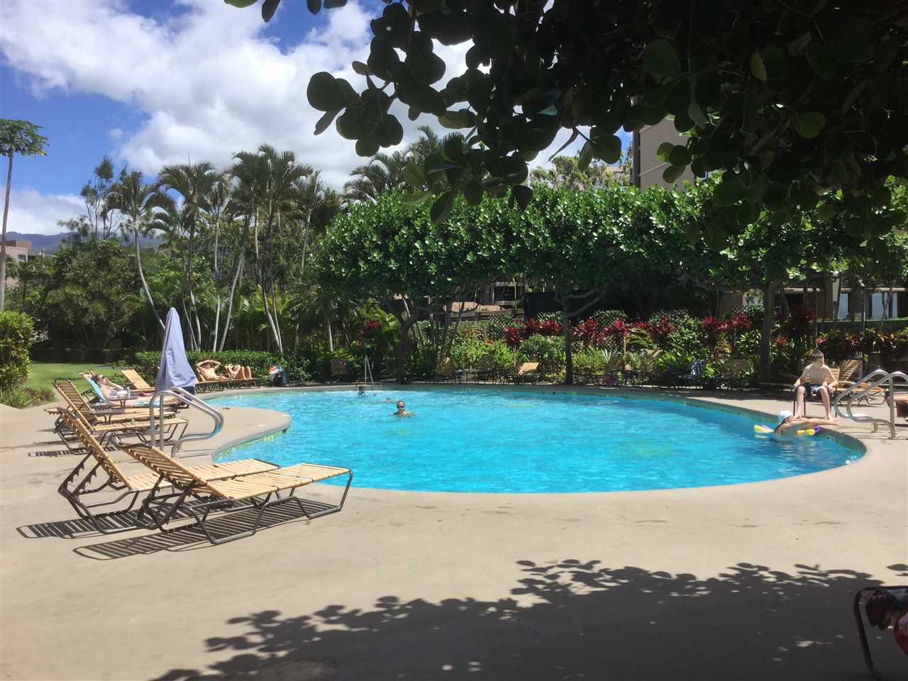 Royal Kahana condo # 203, Lahaina, Hawaii - photo 18 of 18