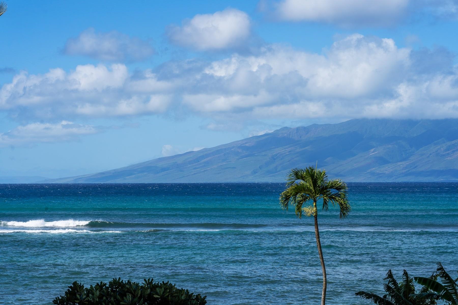 Royal Kahana condo # 204, Lahaina, Hawaii - photo 20 of 29