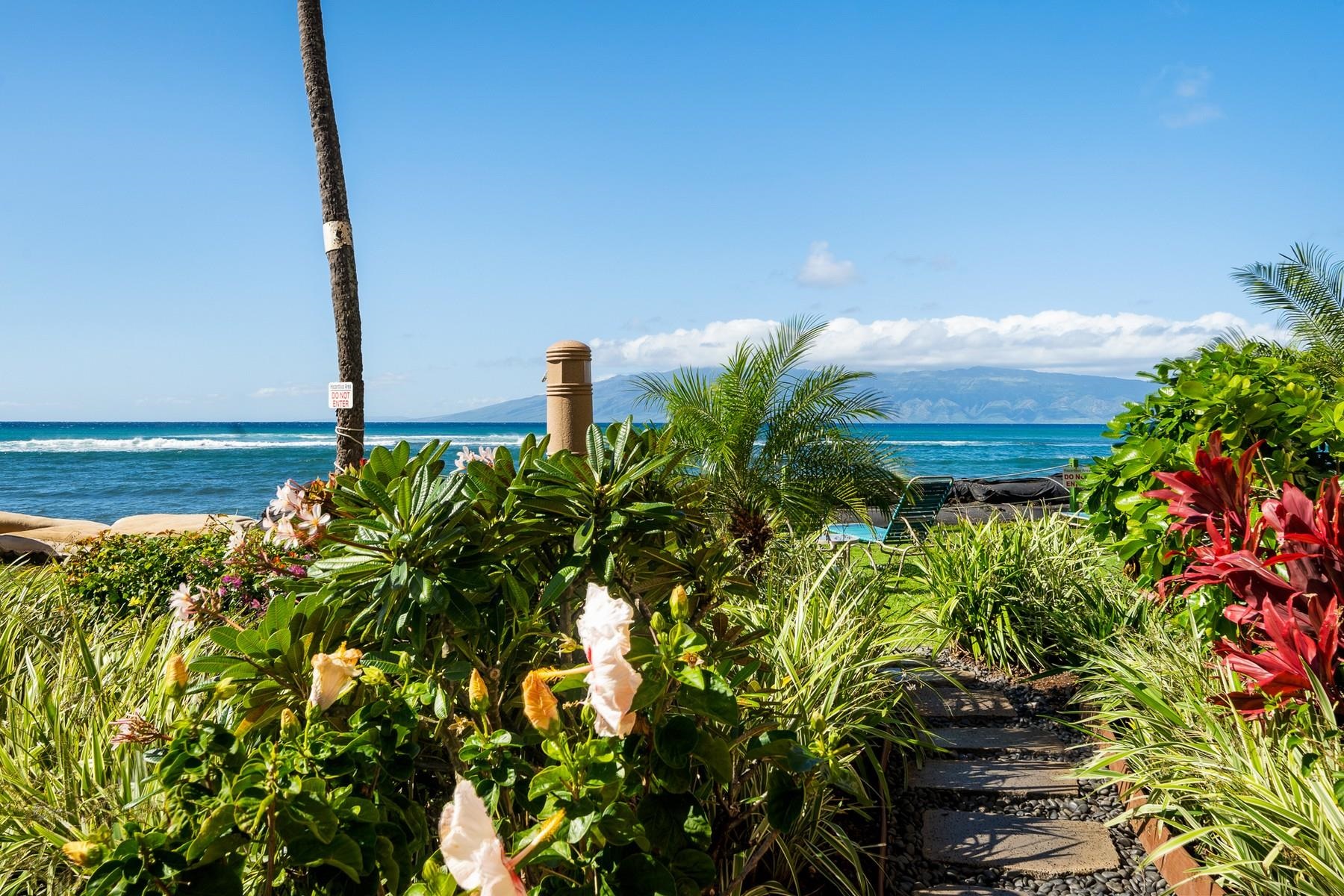 Royal Kahana condo # 204, Lahaina, Hawaii - photo 28 of 29
