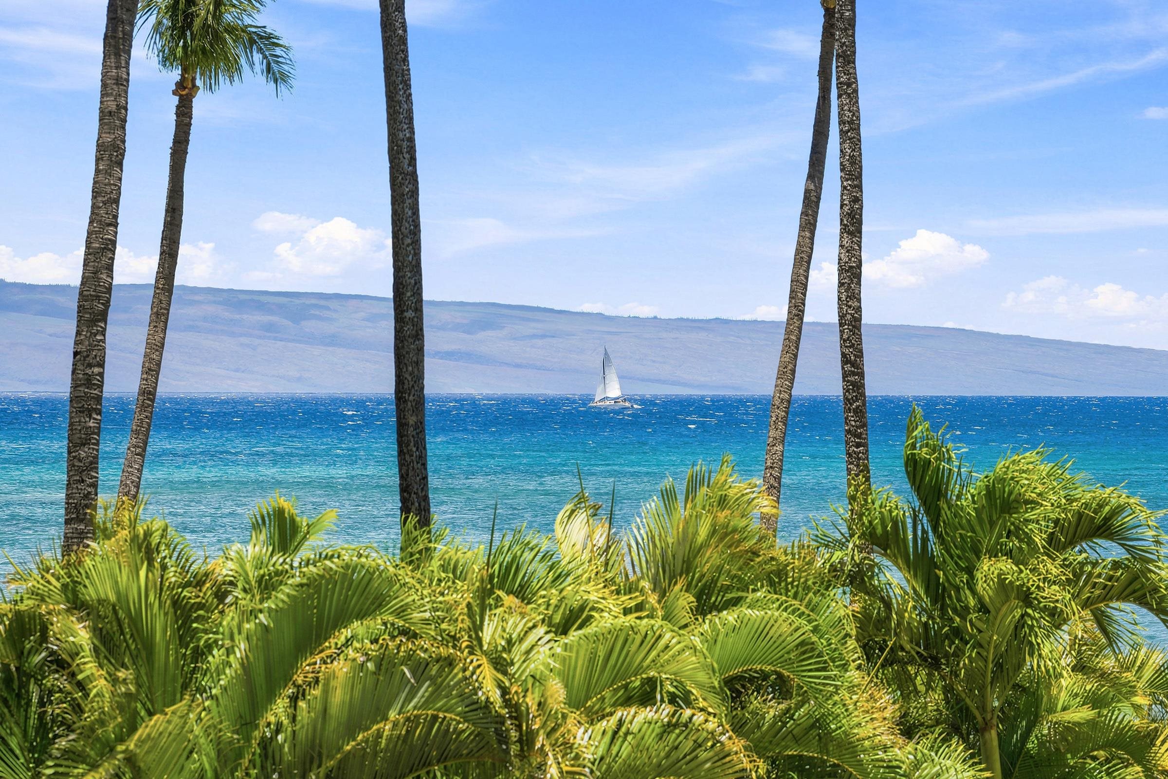 Royal Kahana condo # 216, Lahaina, Hawaii - photo 2 of 37