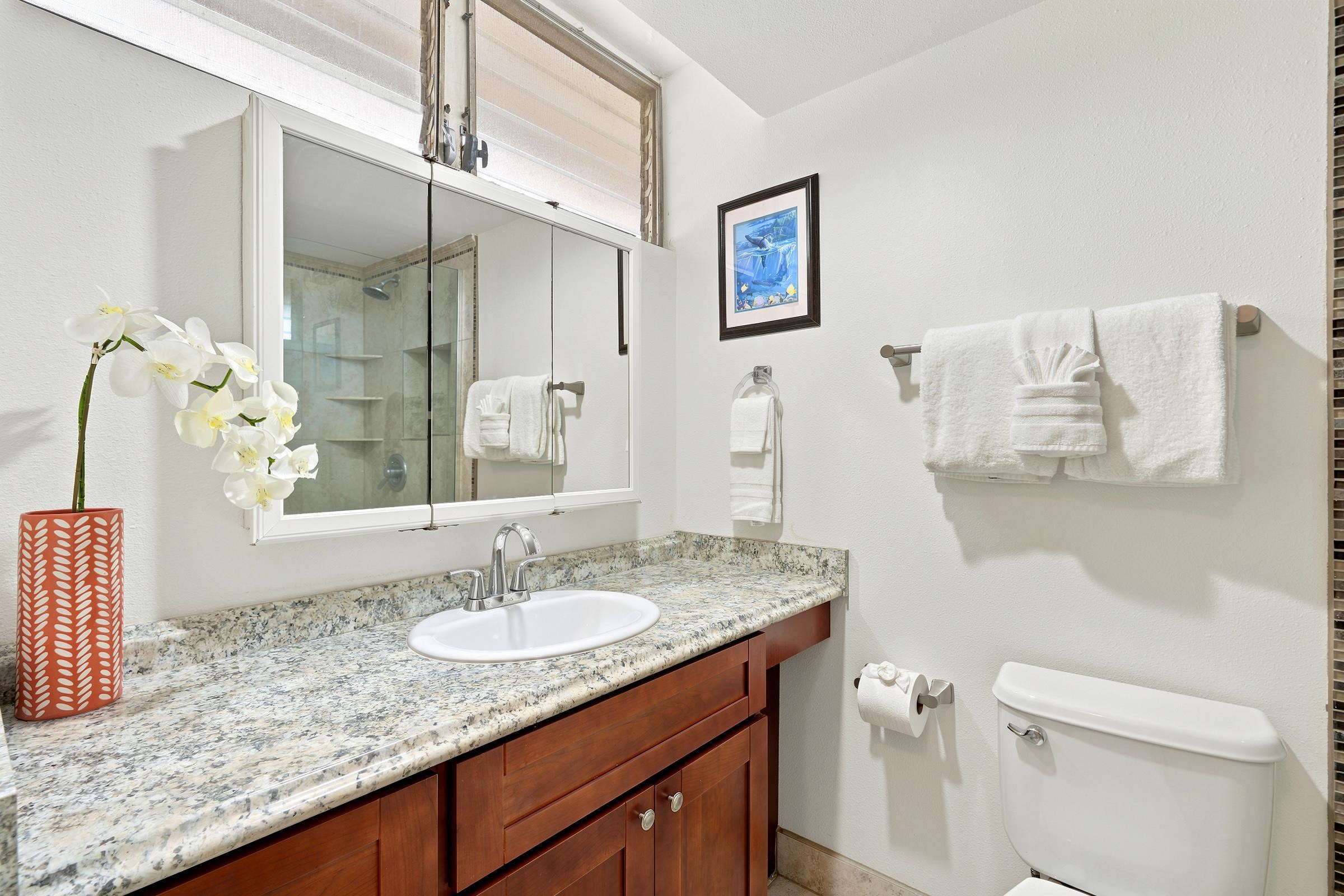 Royal Kahana condo # 216, Lahaina, Hawaii - photo 27 of 37