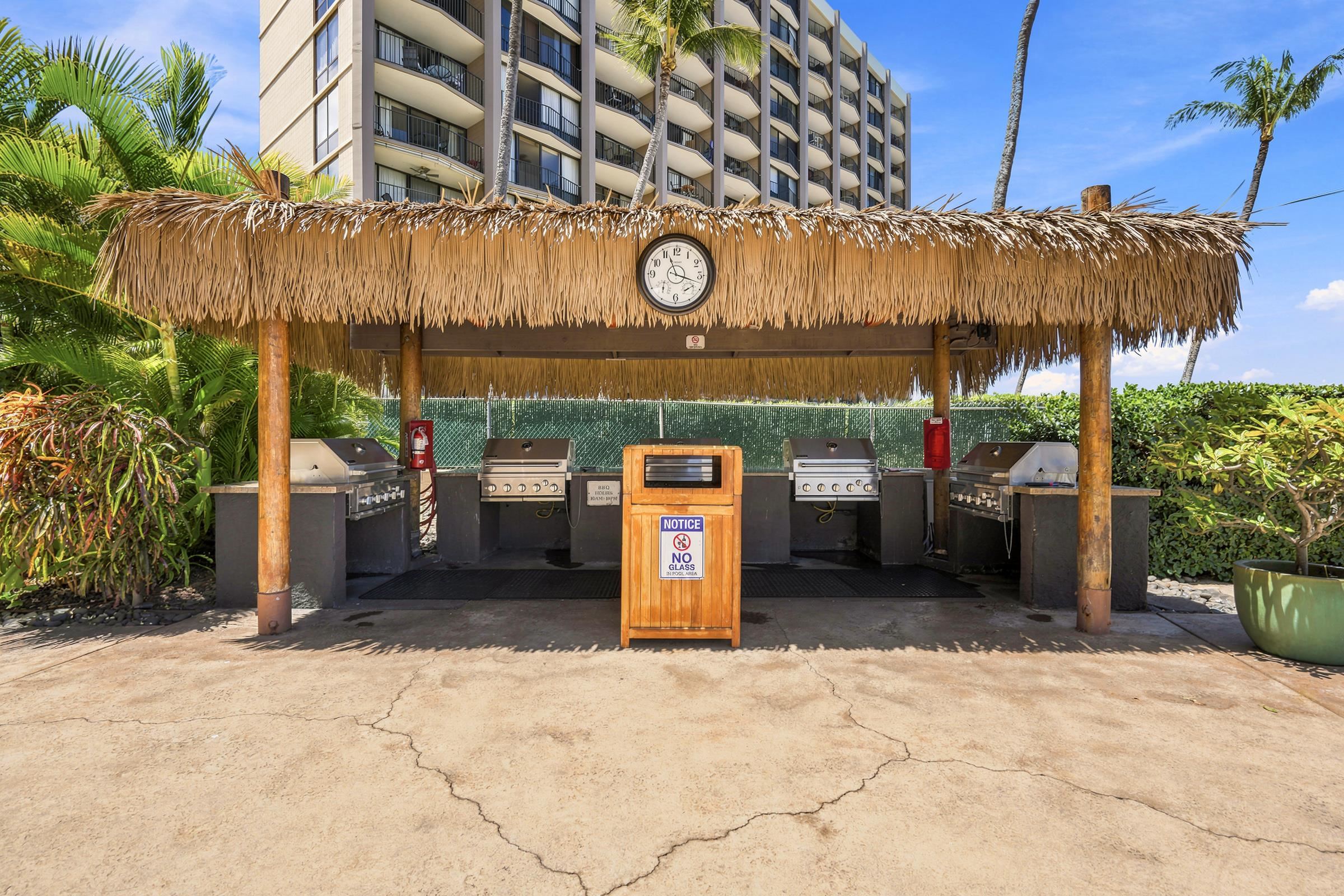 Royal Kahana condo # 216, Lahaina, Hawaii - photo 33 of 37