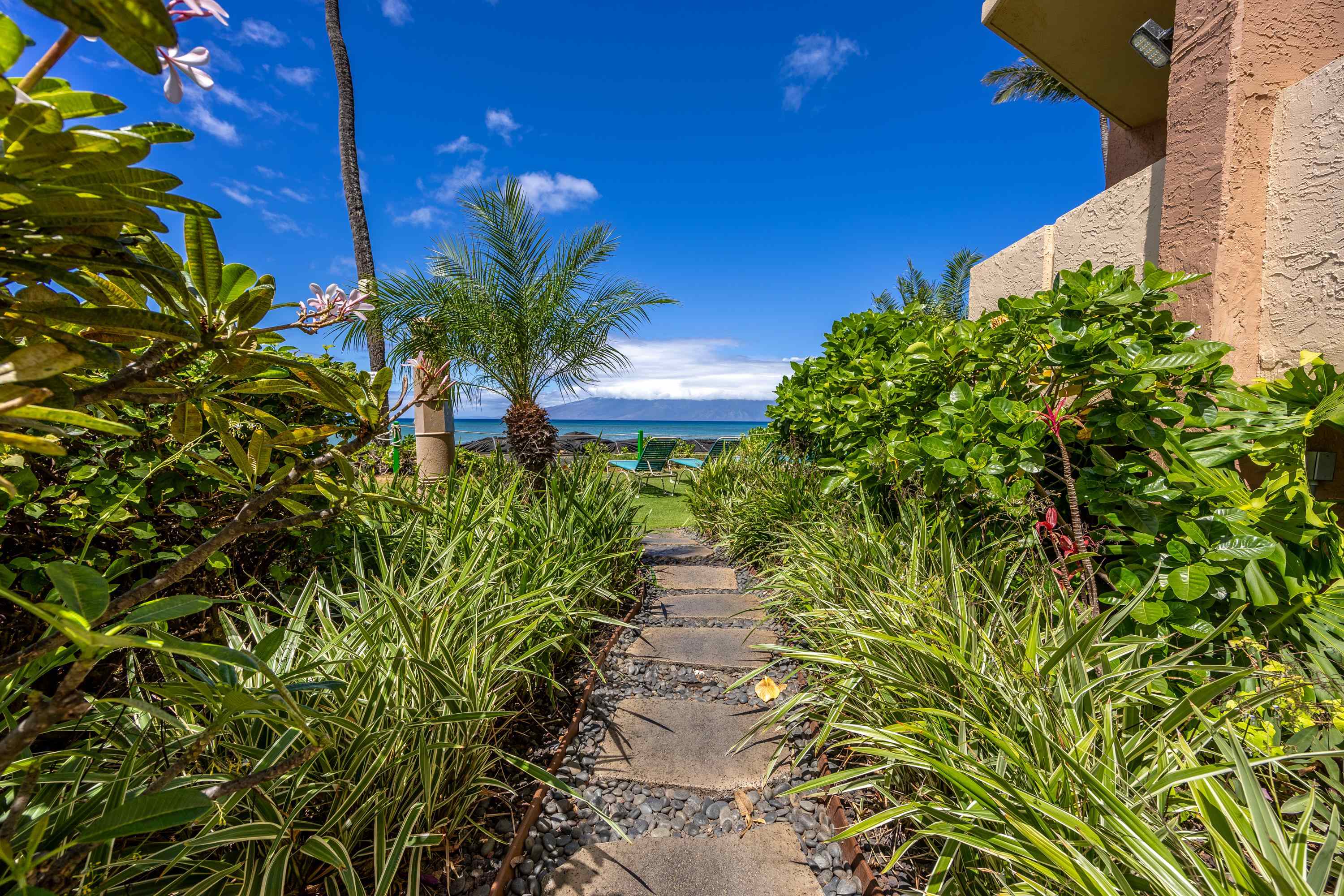 Royal Kahana condo # 312, Lahaina, Hawaii - photo 20 of 25