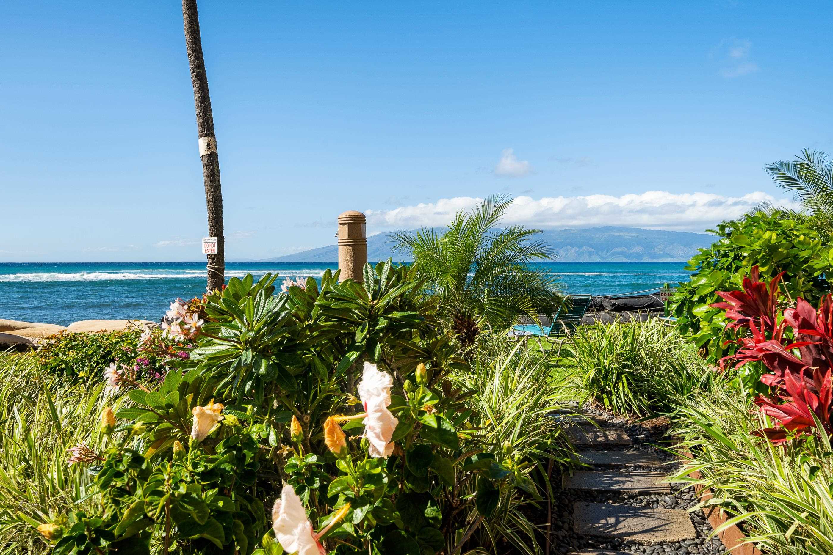 Royal Kahana condo # 520, Lahaina, Hawaii - photo 29 of 30