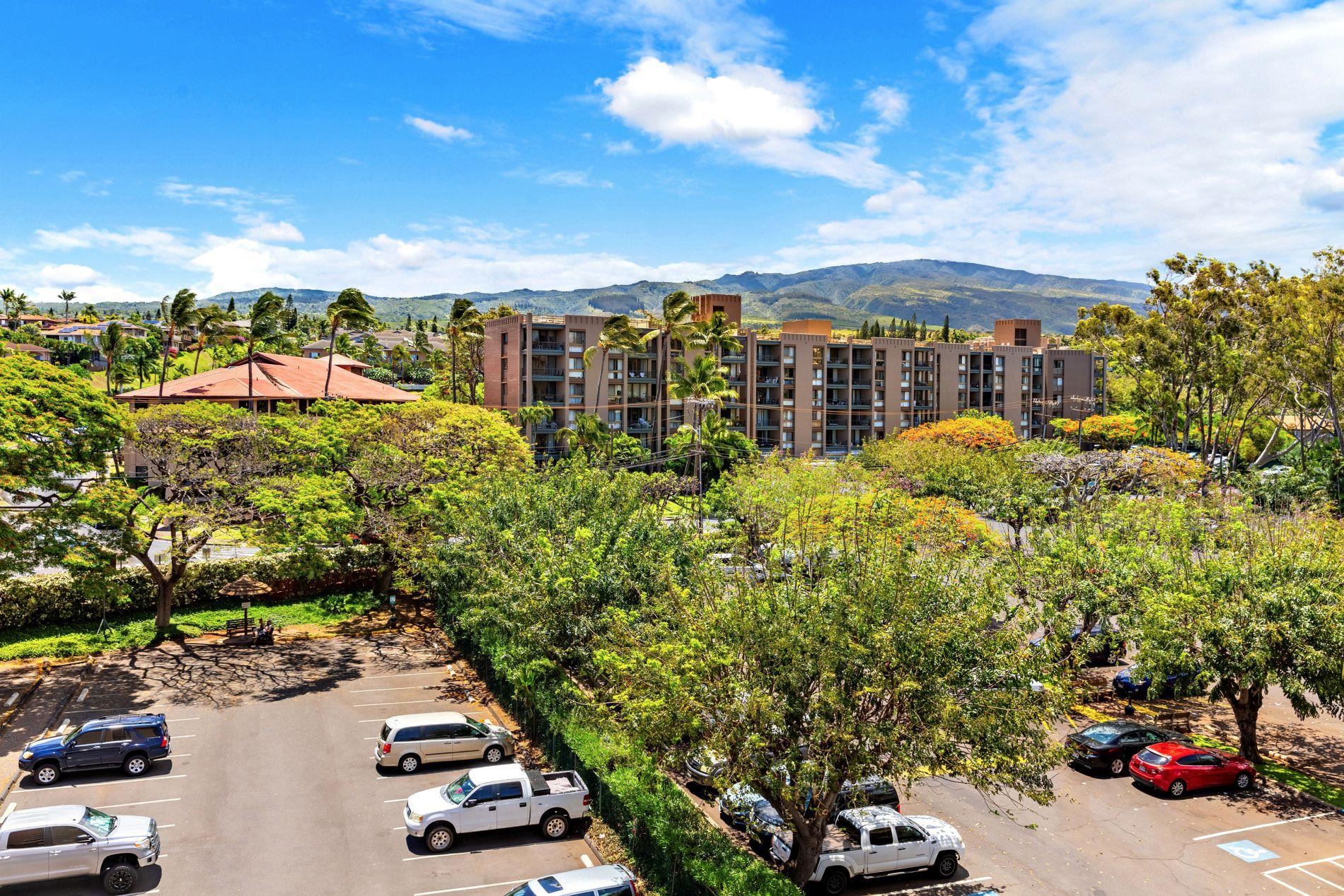 Royal Kahana condo # 520, Lahaina, Hawaii - photo 34 of 35
