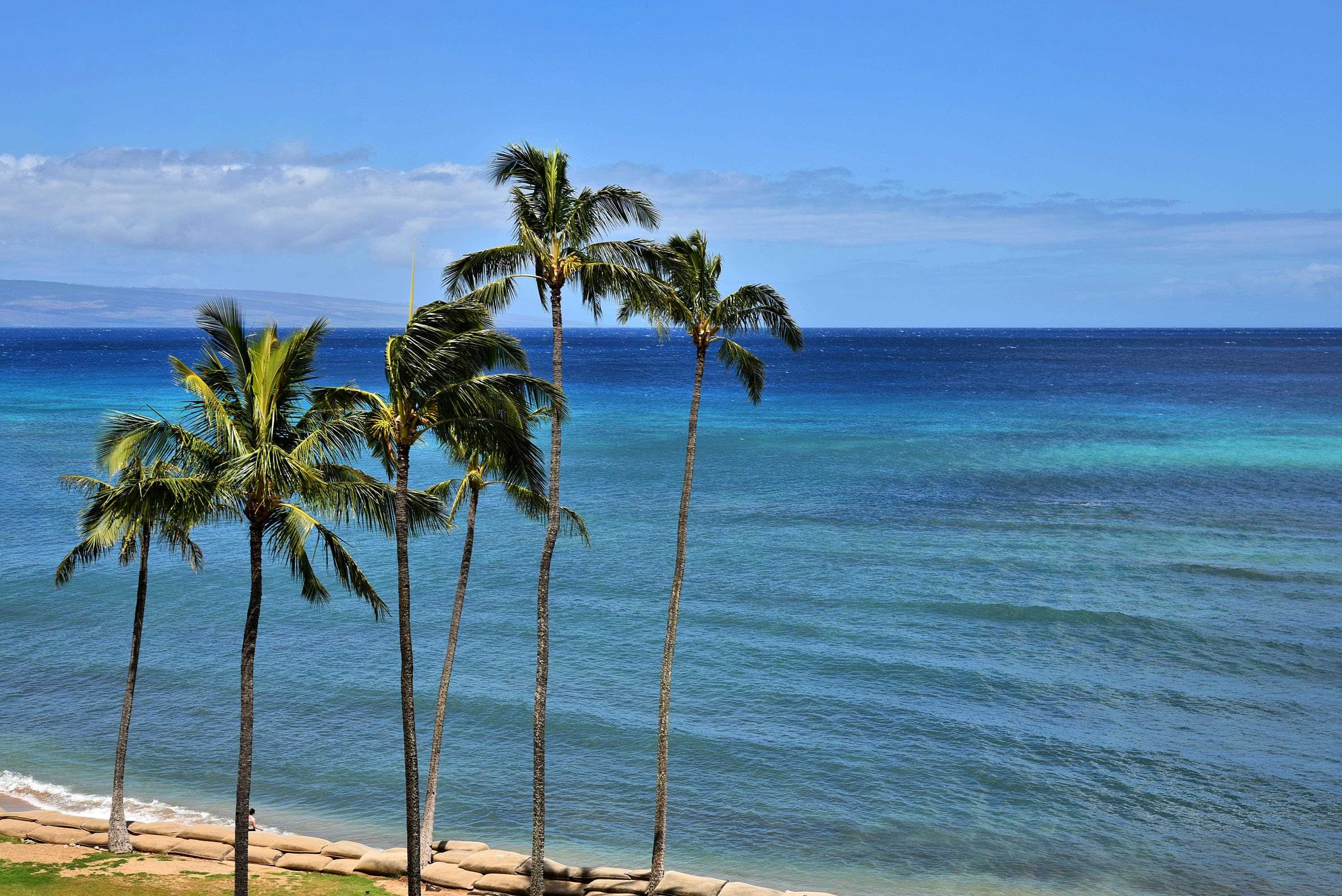 Royal Kahana condo # 618, Lahaina, Hawaii - photo 21 of 50