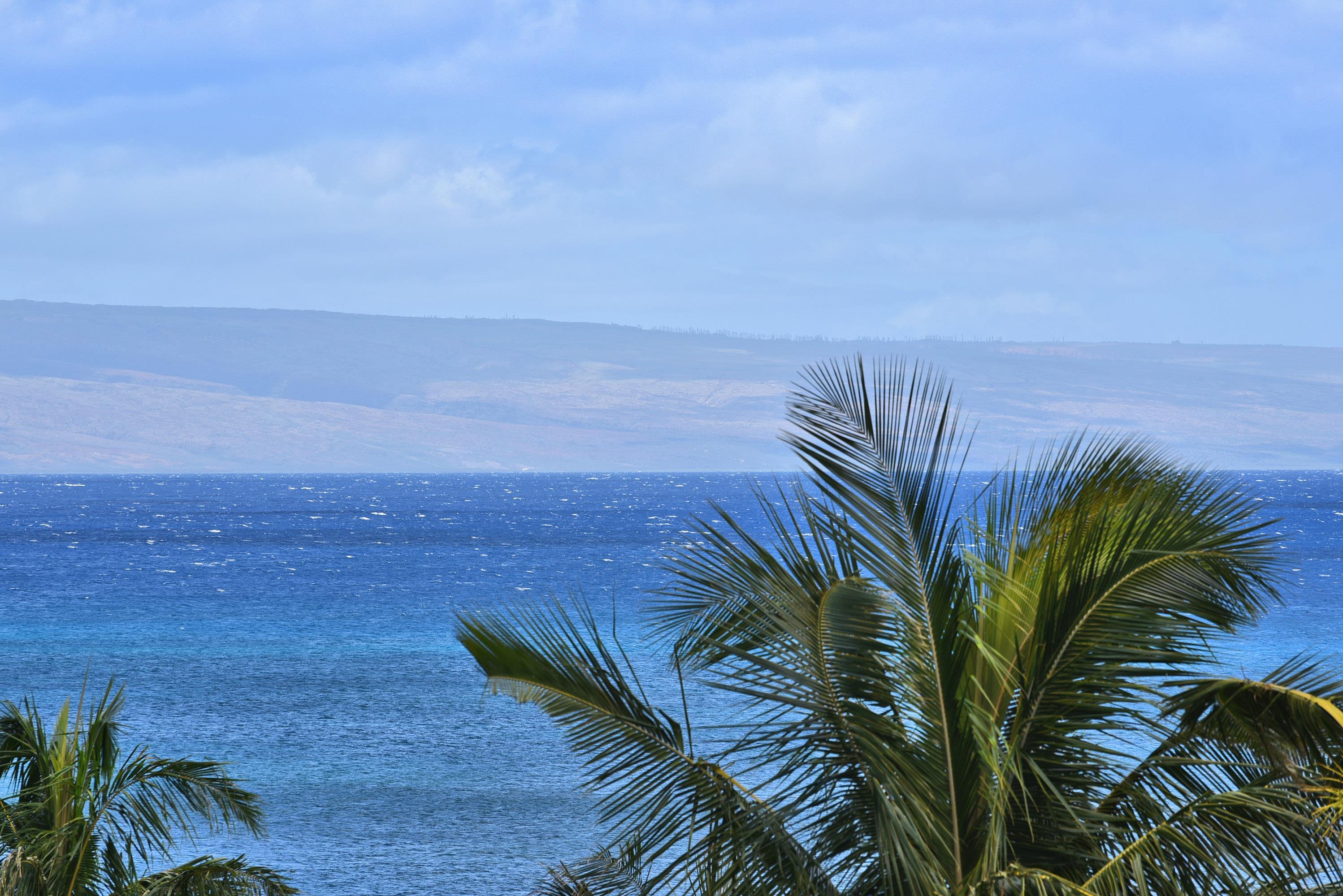 Royal Kahana condo # 618, Lahaina, Hawaii - photo 24 of 50